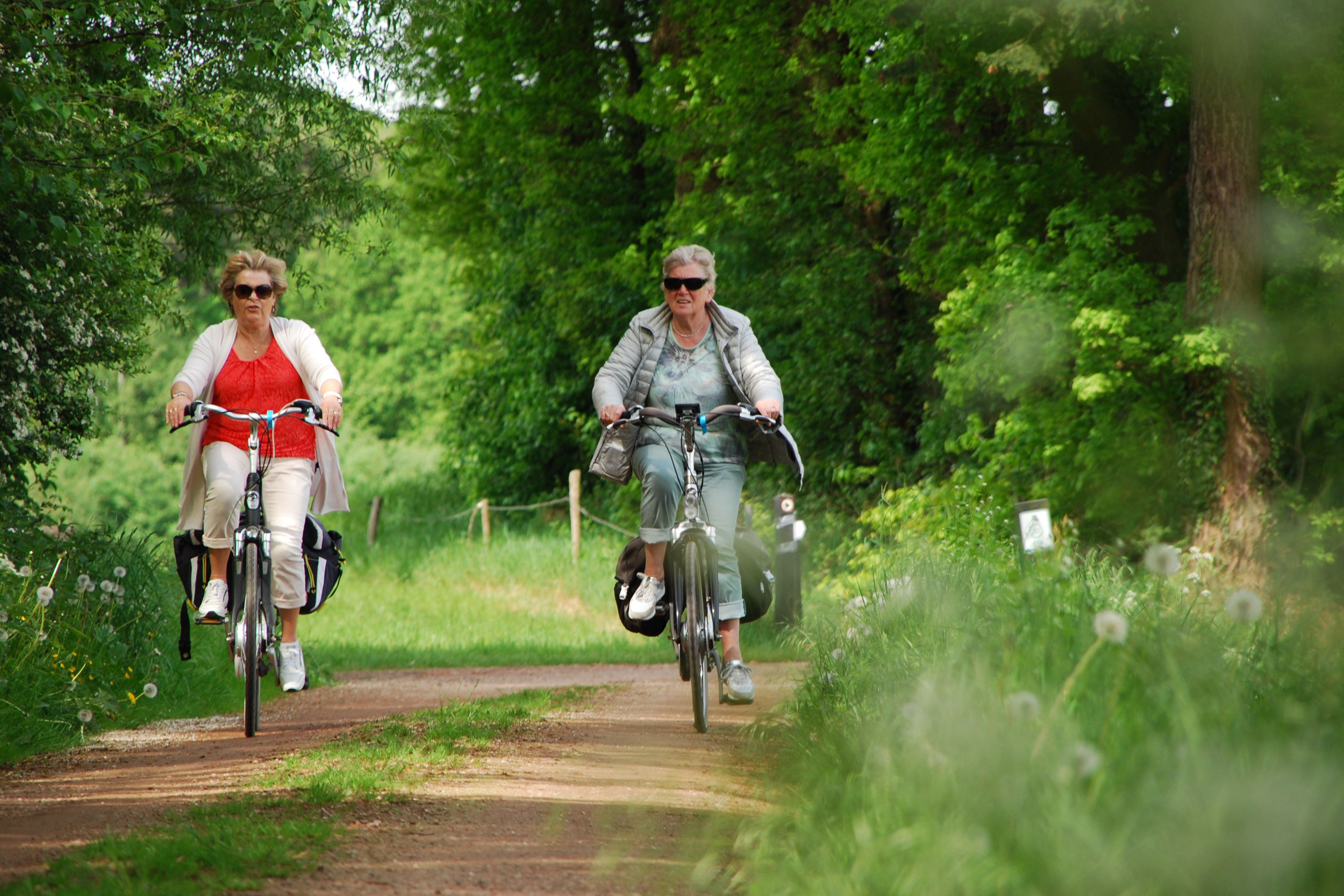 Camping Het Winkel