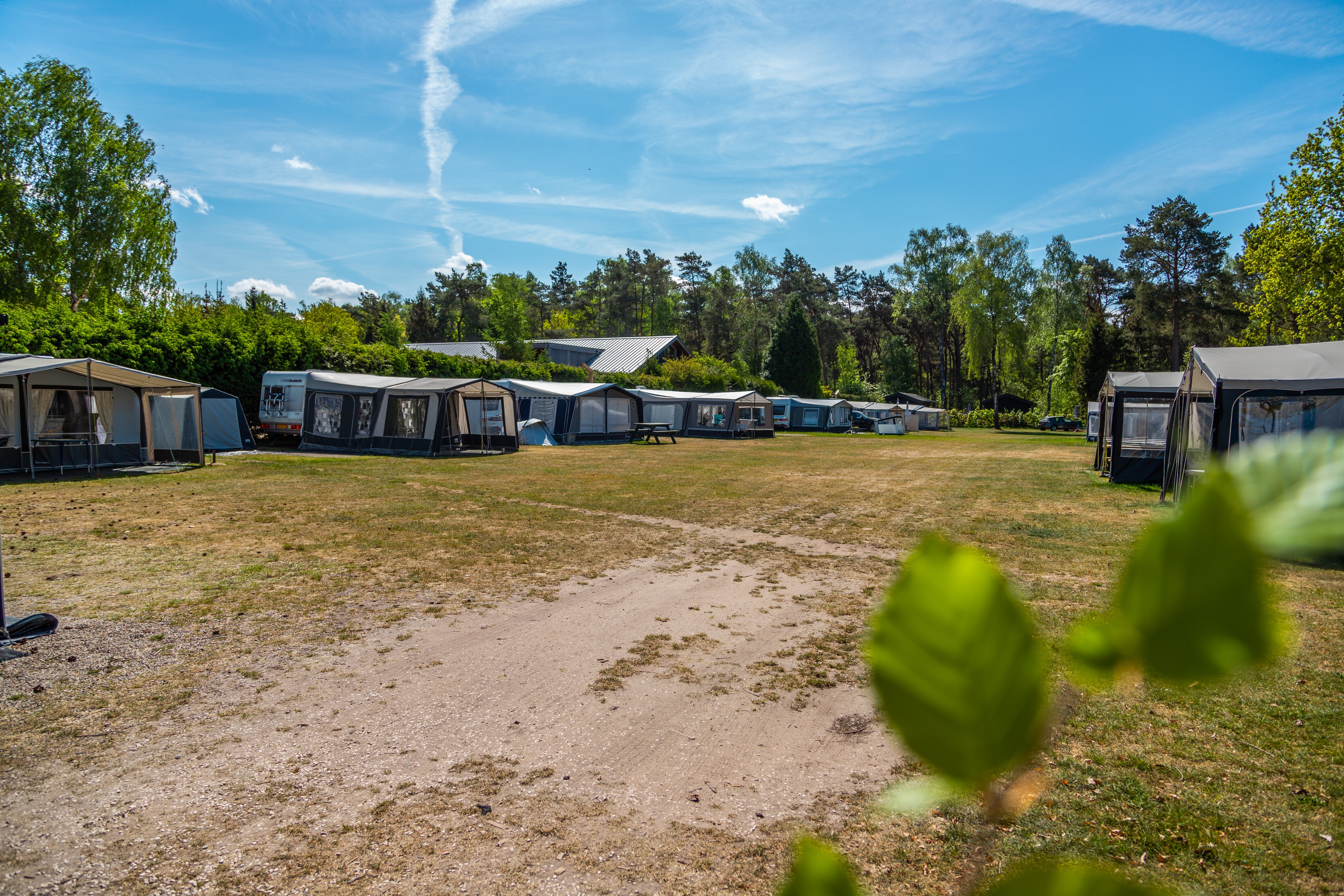 EuroParcs De Wije Werelt