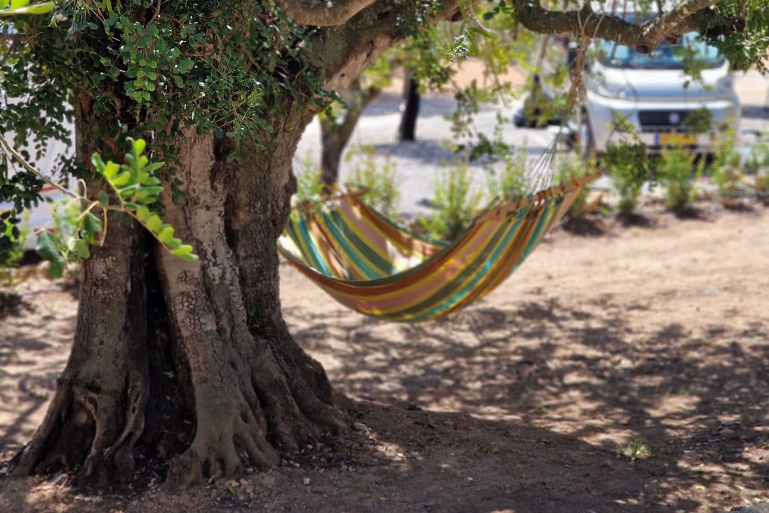 Camping Ciudad del Ciclismo