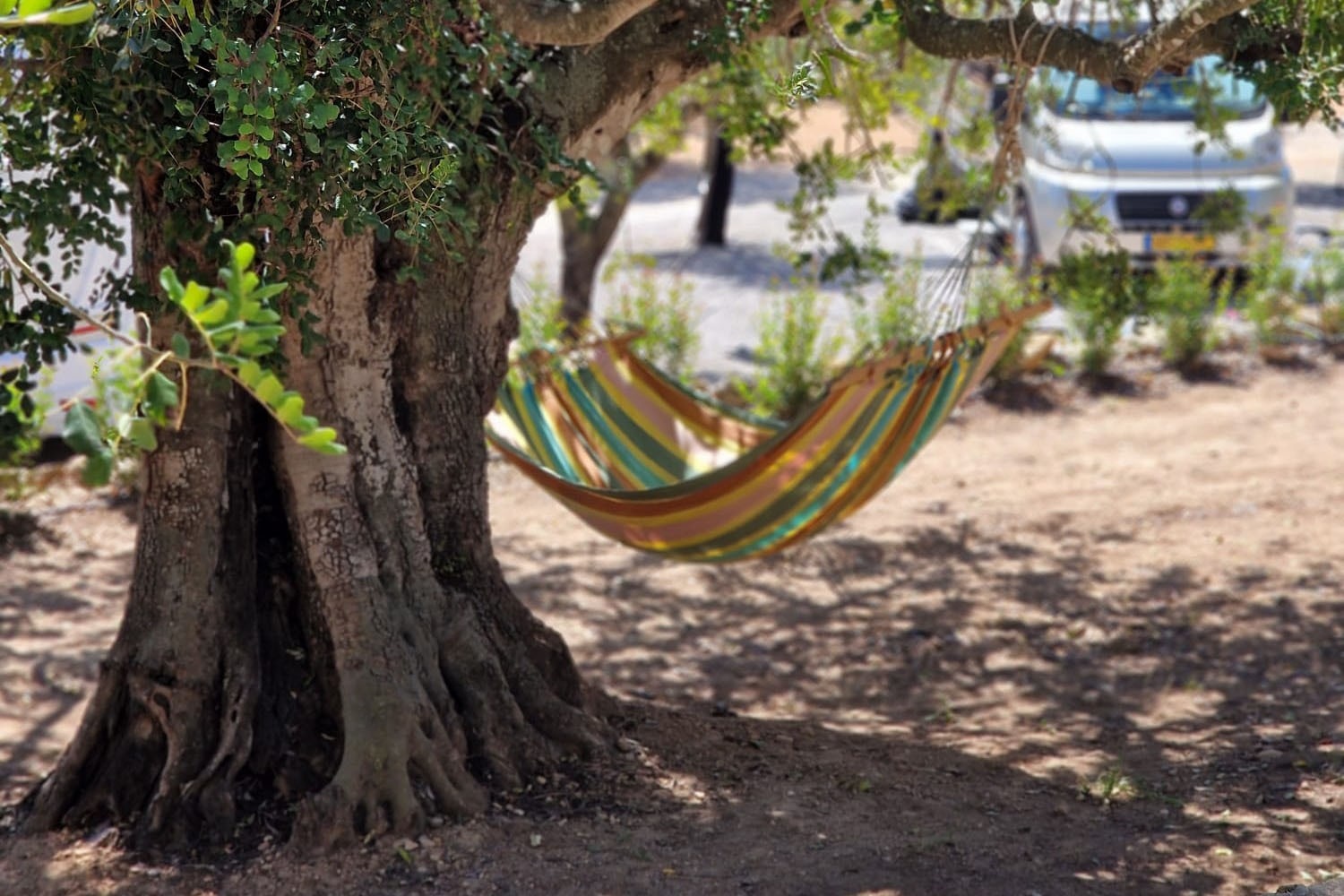 Camping Ciudad del Ciclismo