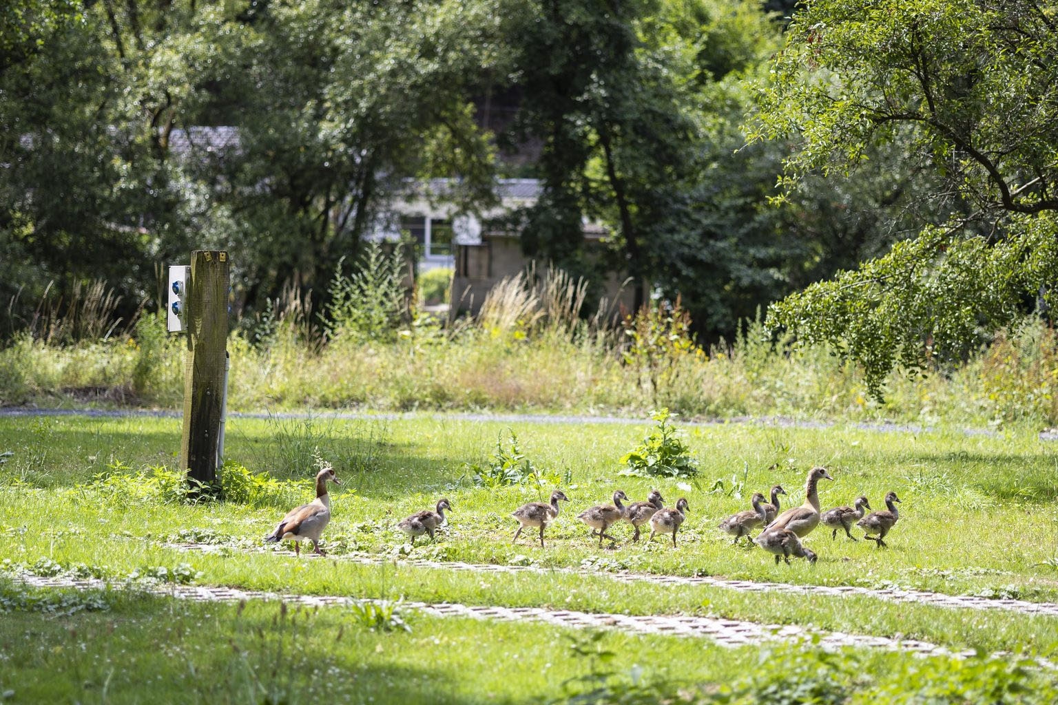 ArdenParks Comblain au Pont