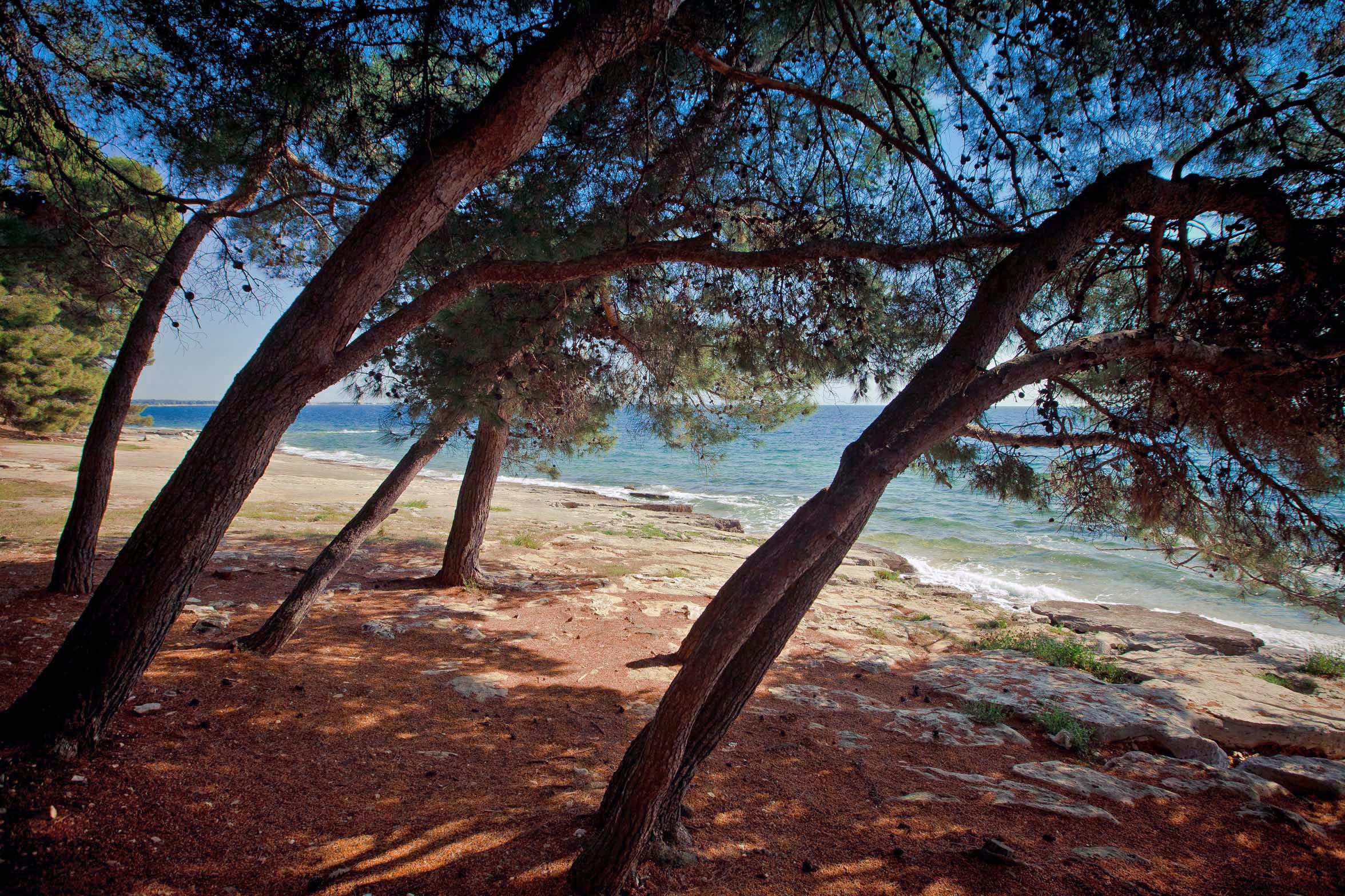 Camping Savudrija