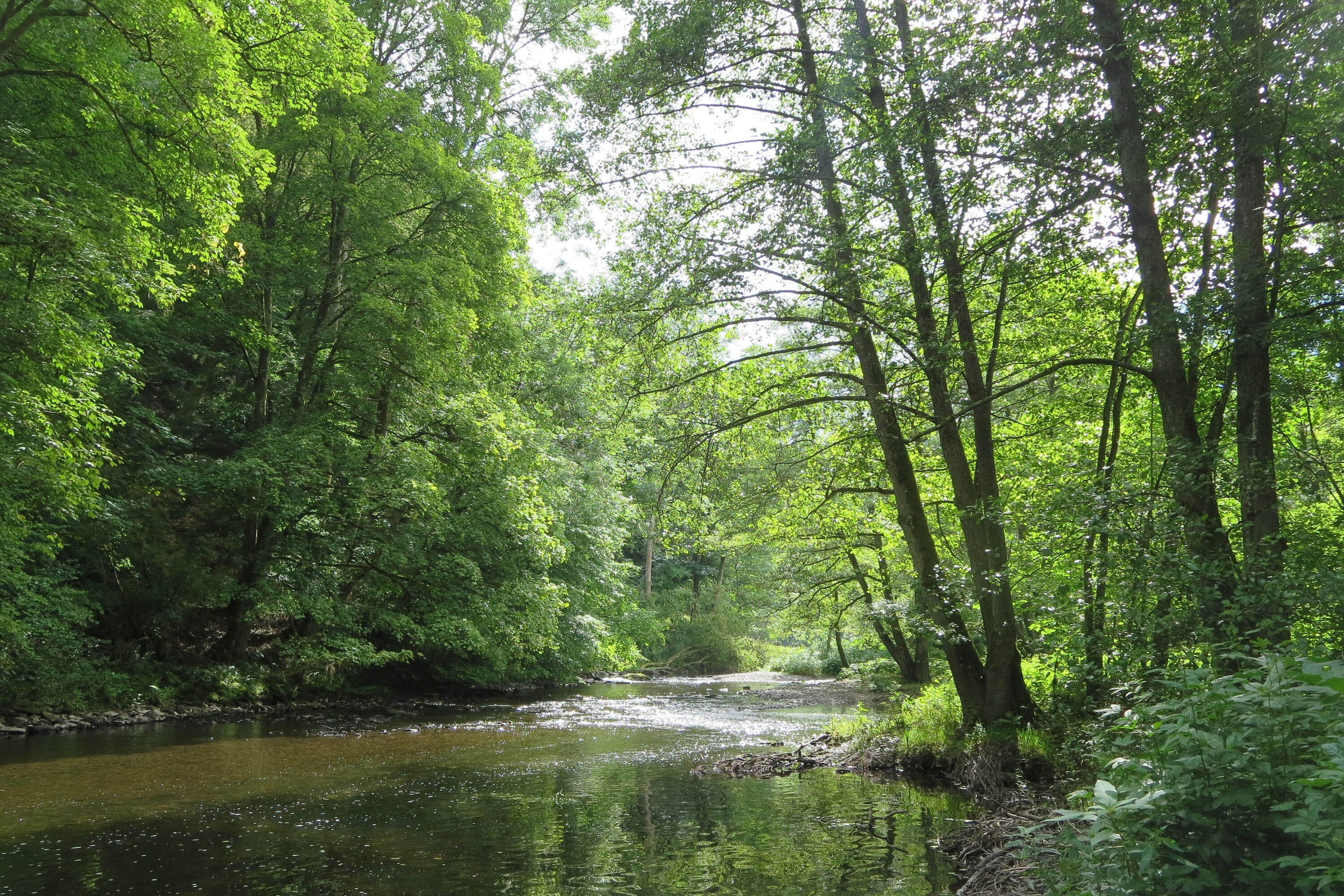 Camping Berkel