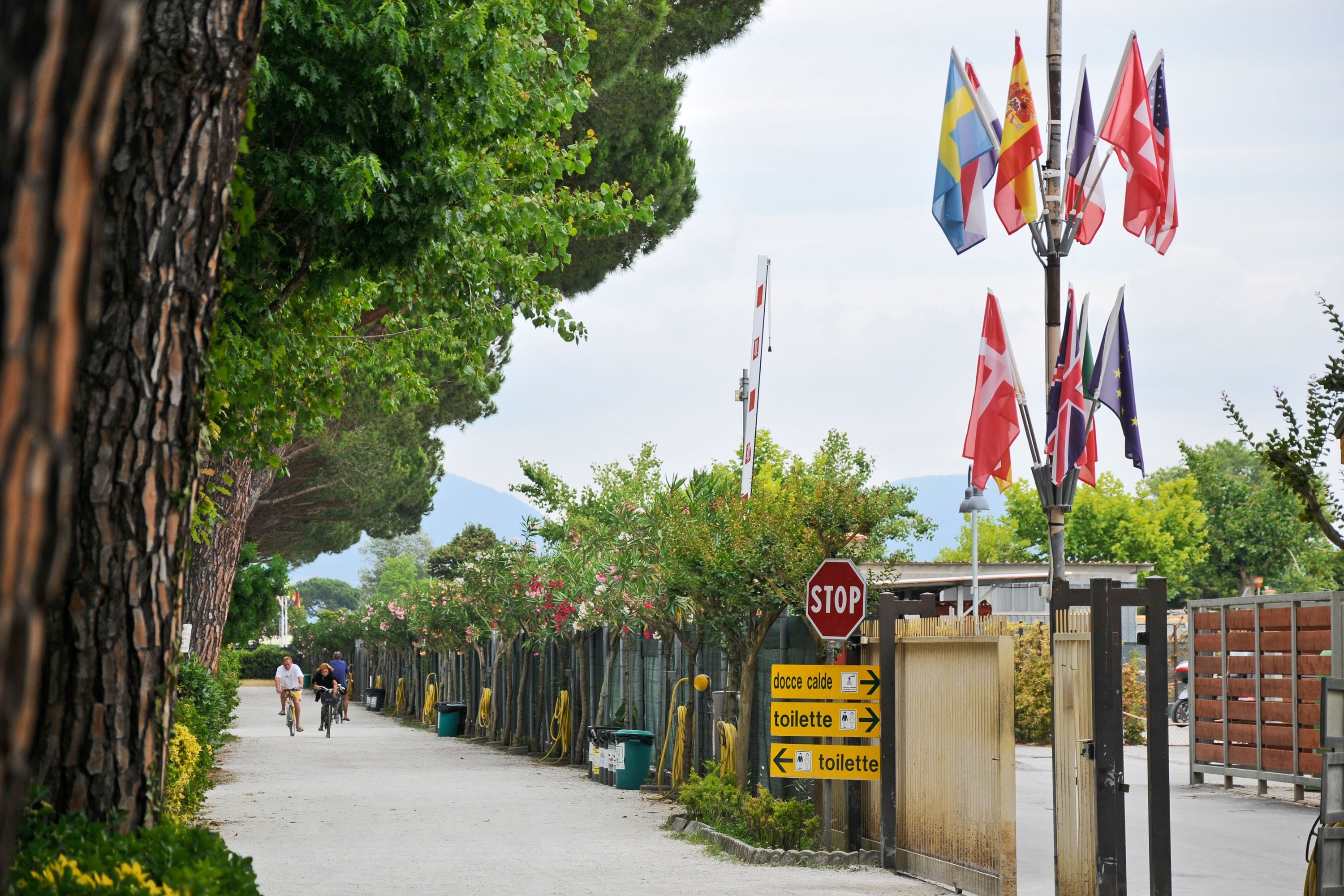 Club del Sole Viareggio Family Collection