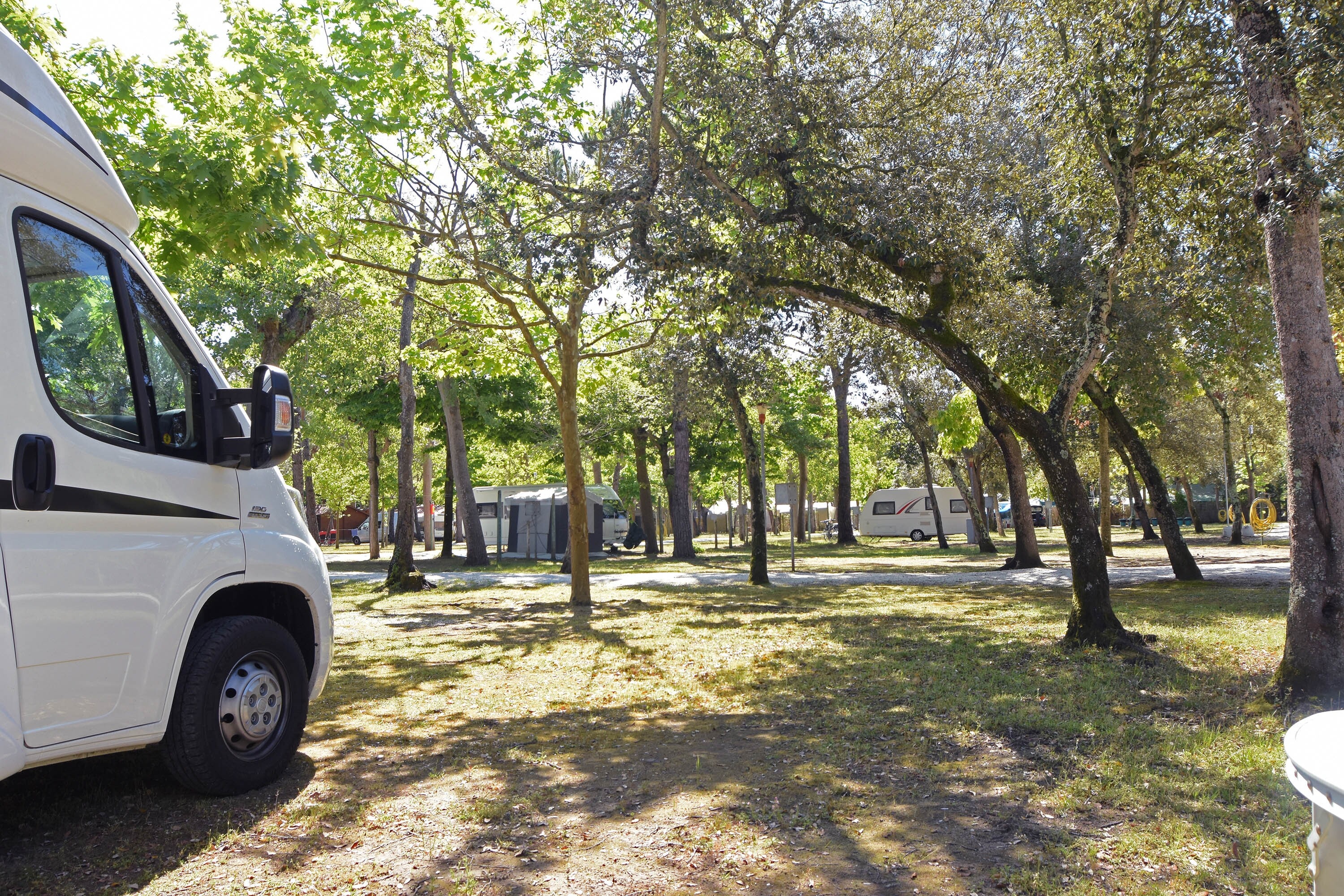 Club del Sole Viareggio Family Collection