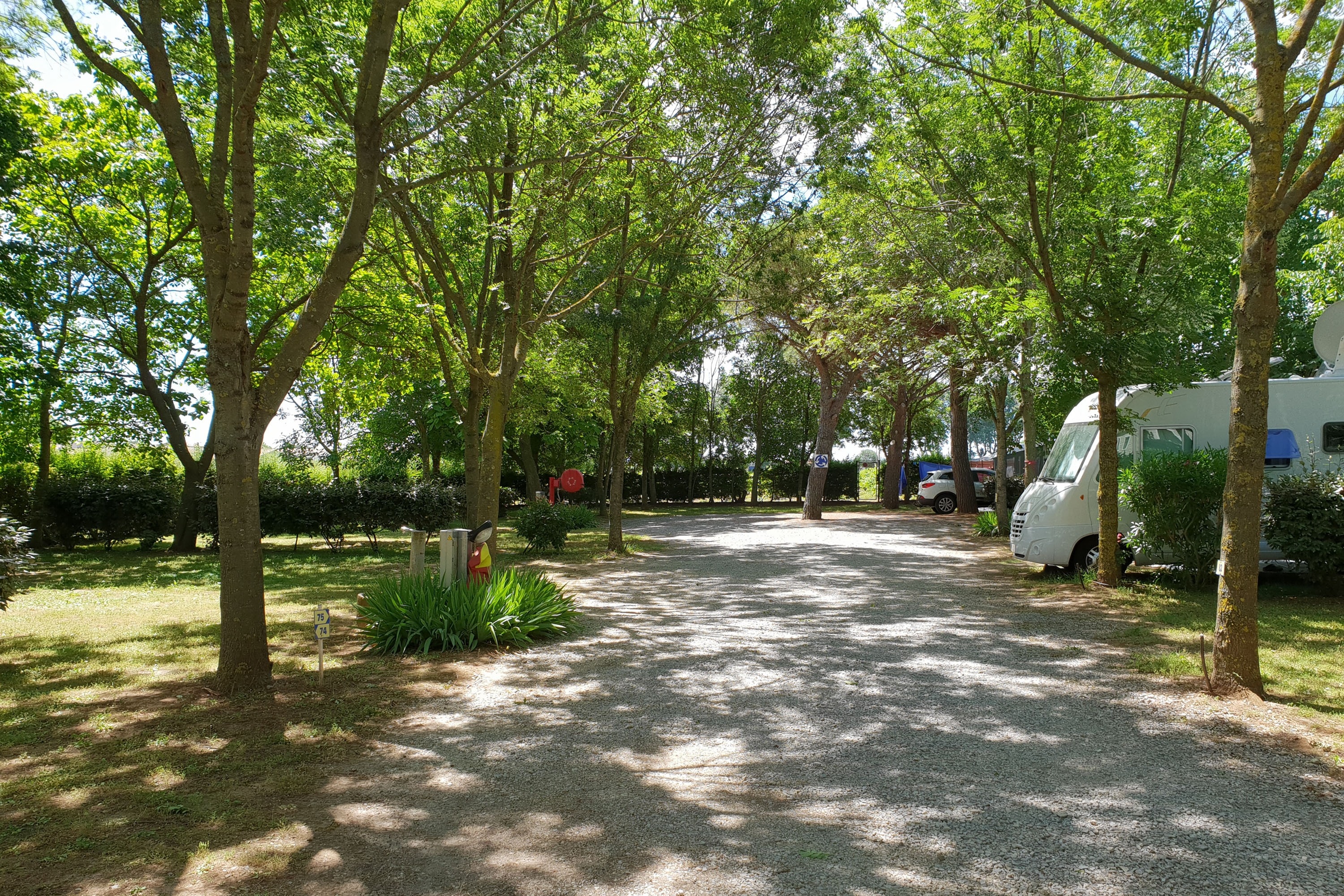 Flower Camping Le Fou du Roi