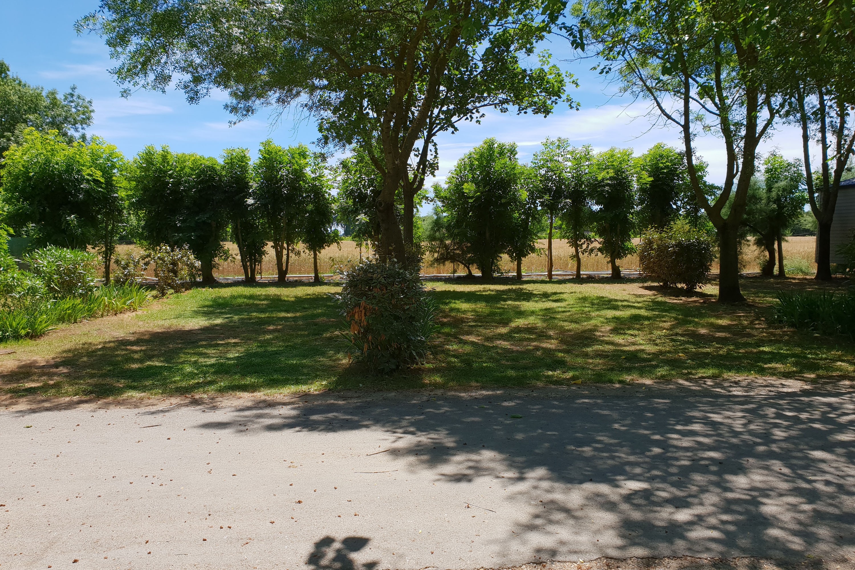 Flower Camping Le Fou du Roi