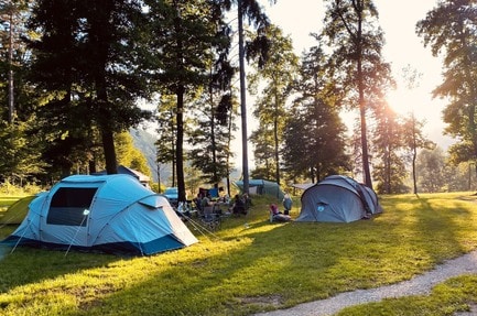 Forest Camping Mozirje