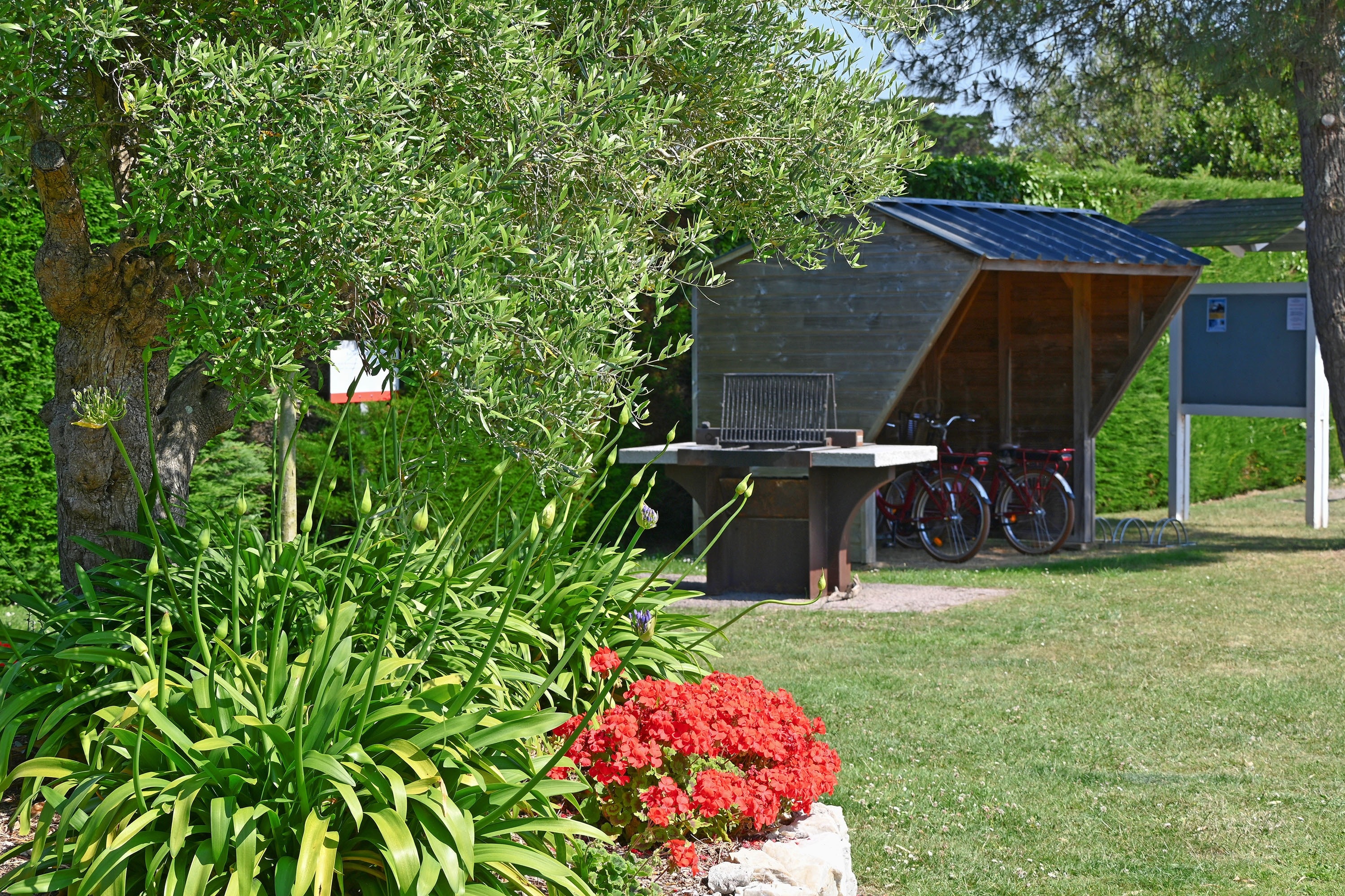 Camping Des Hautes Grées