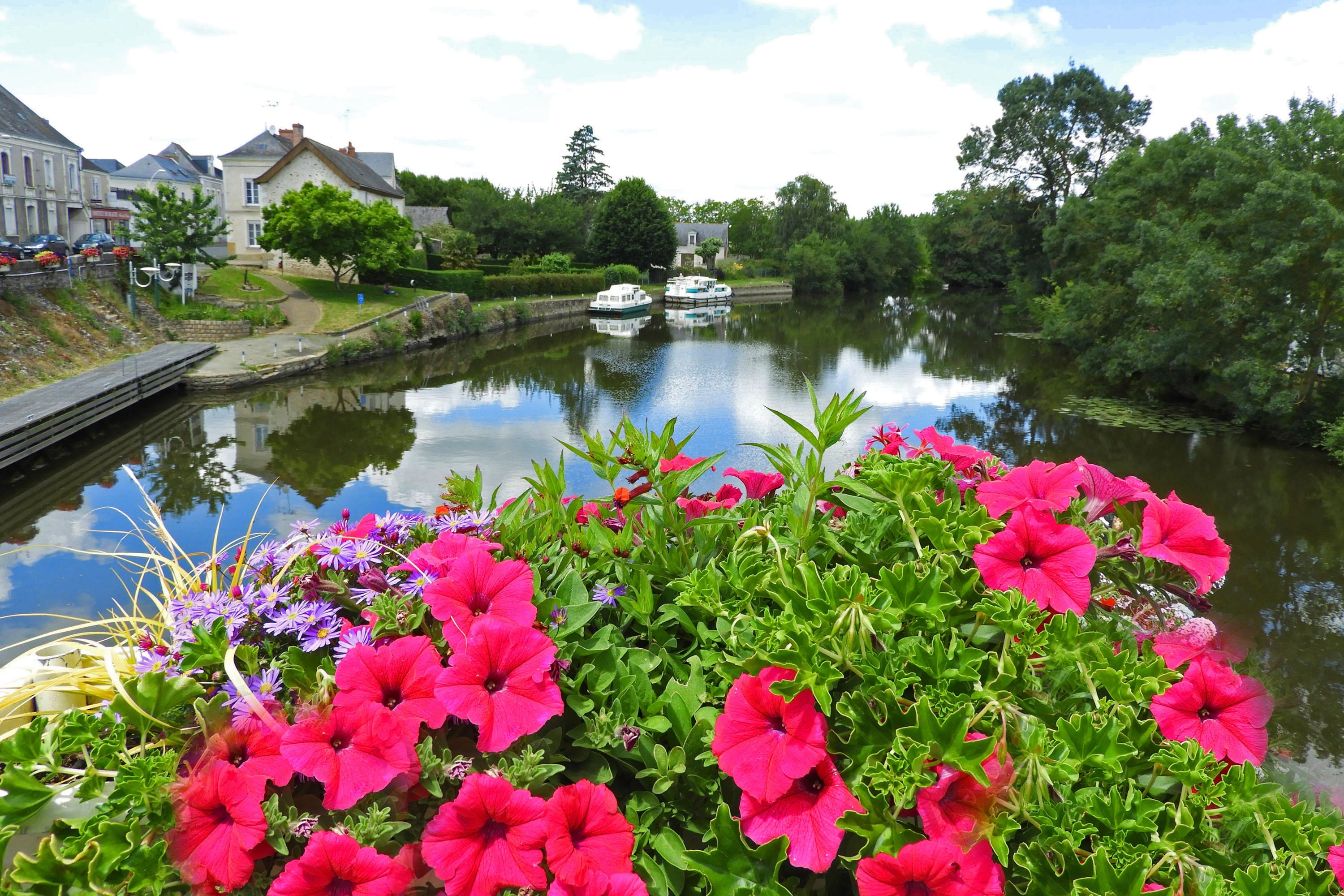 Camping du Lion d'Angers