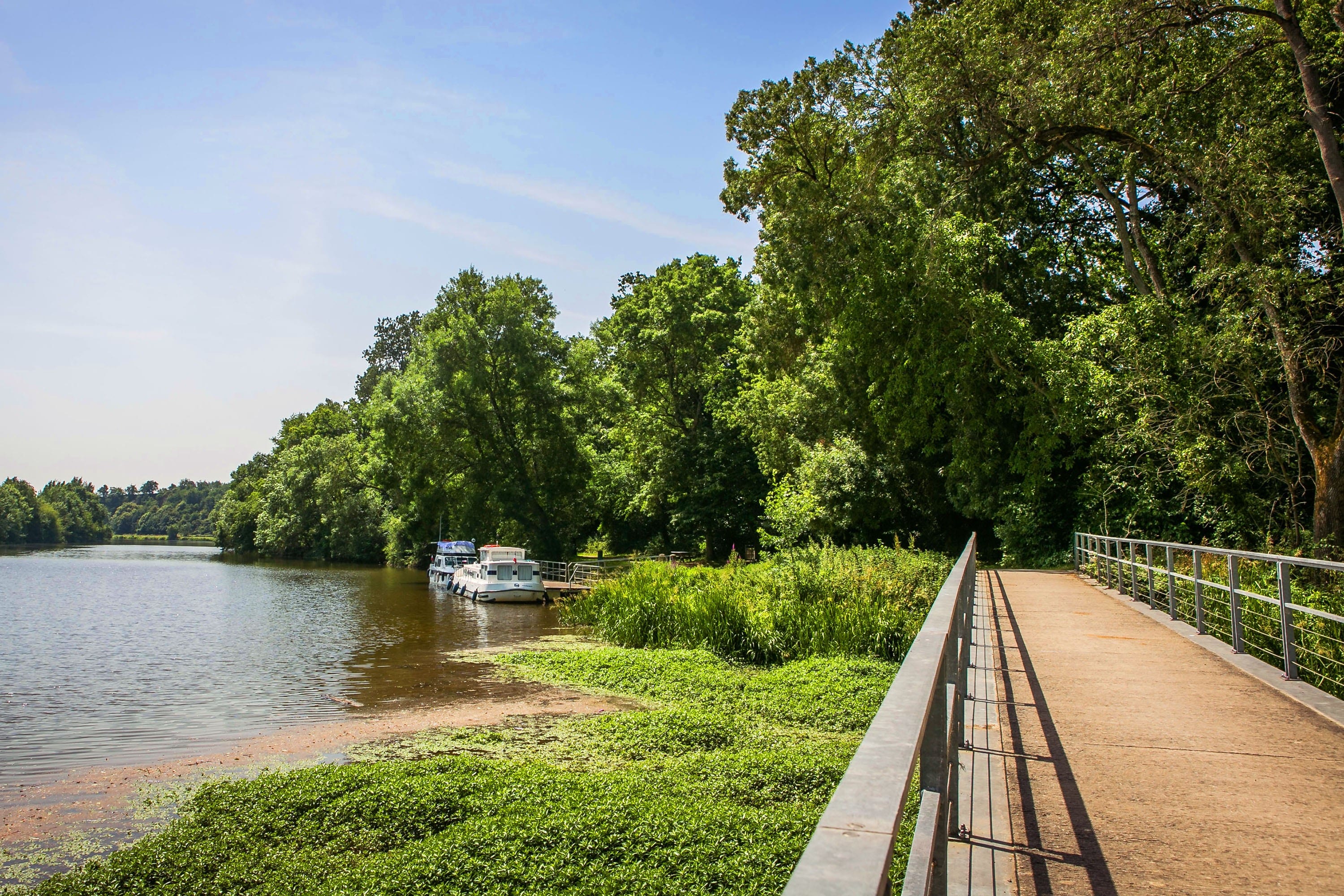 Camping du Lion d'Angers