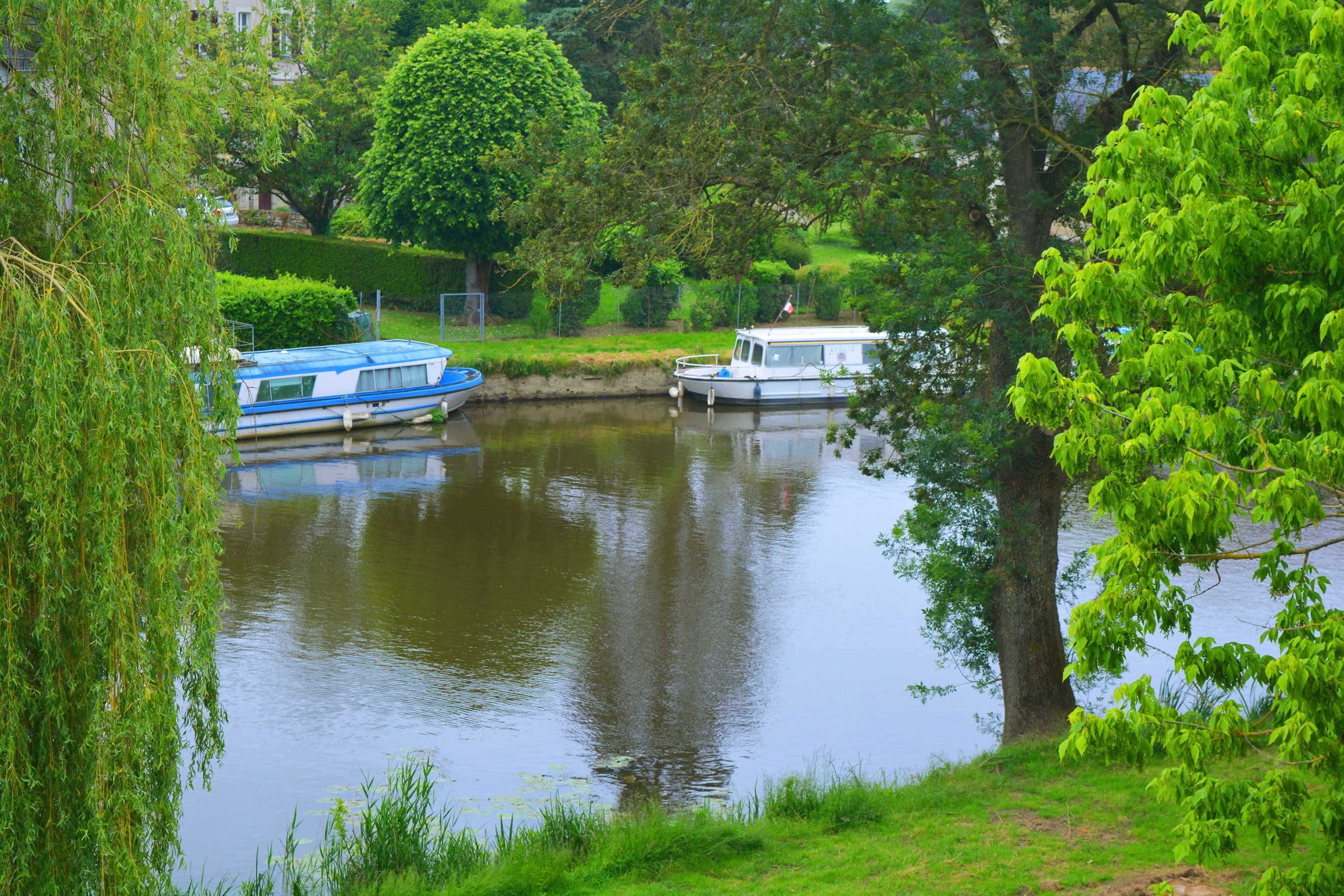 Camping du Lion d'Angers