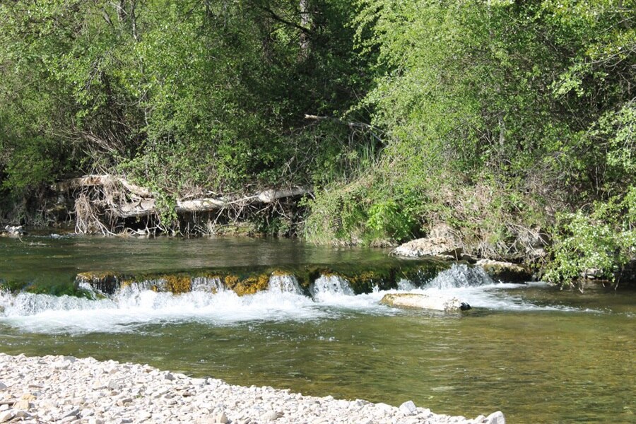 Flower Camping La Rivière