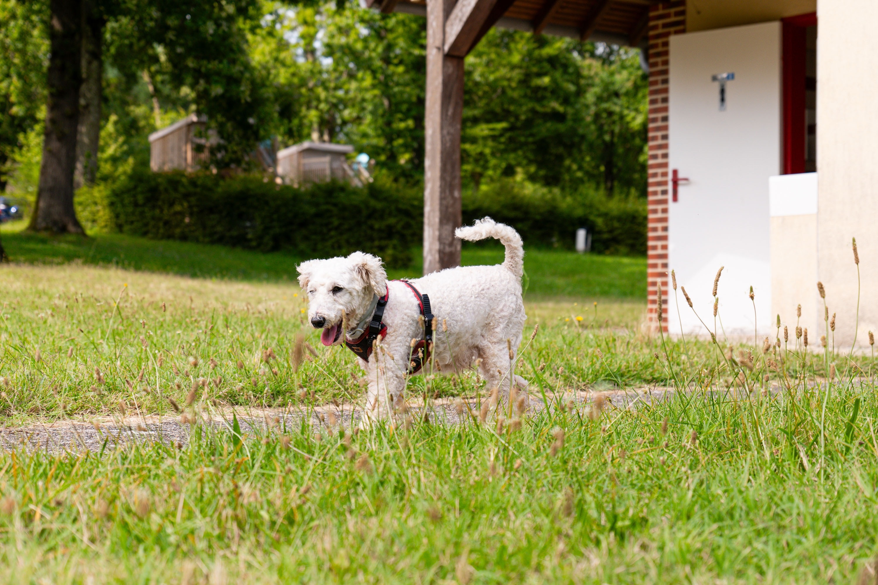 Camping La Varenne Onlycamp