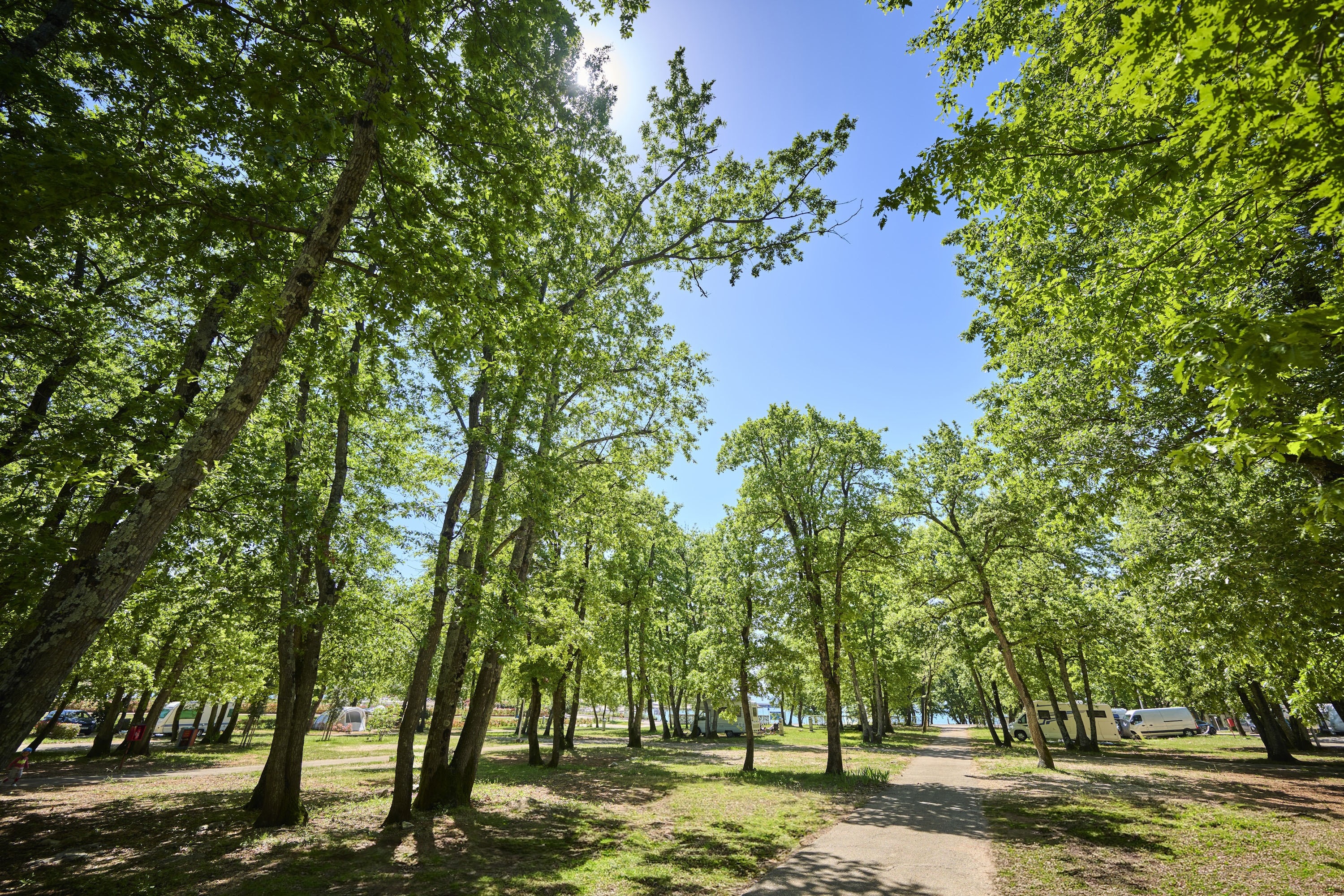Camping Park Umag