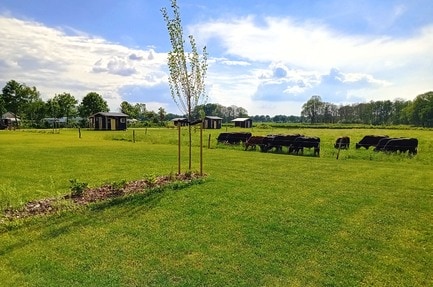 Camping D’n Aanloop