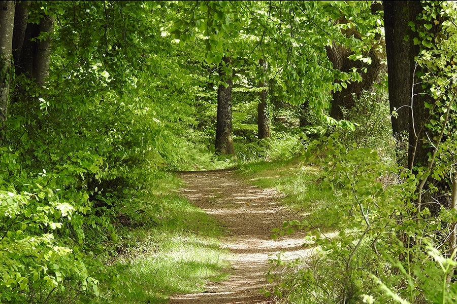 Camping Les Tournesols
