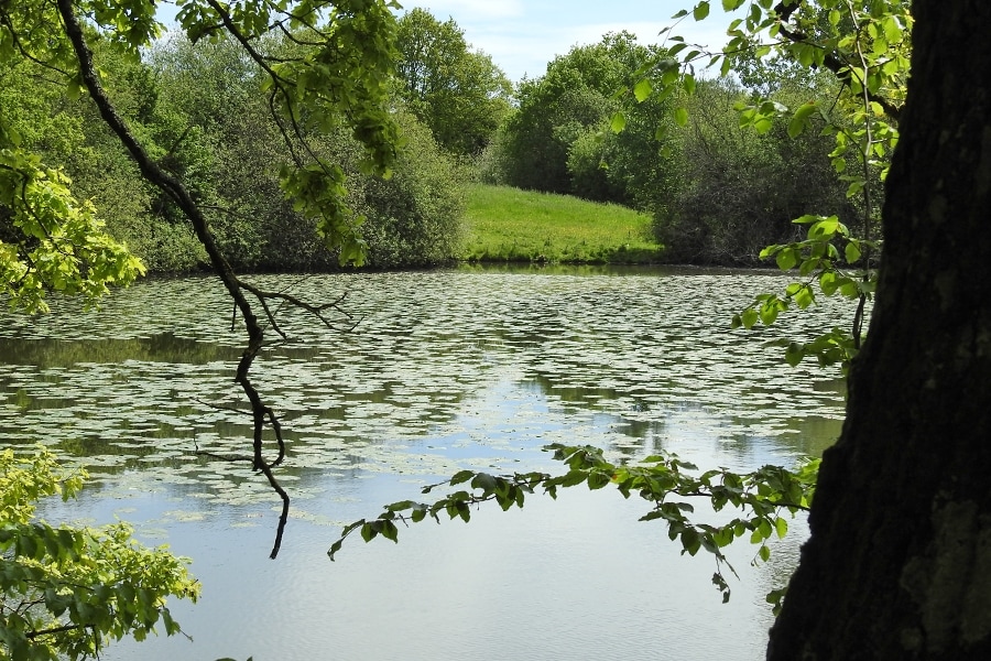Camping Les Tournesols