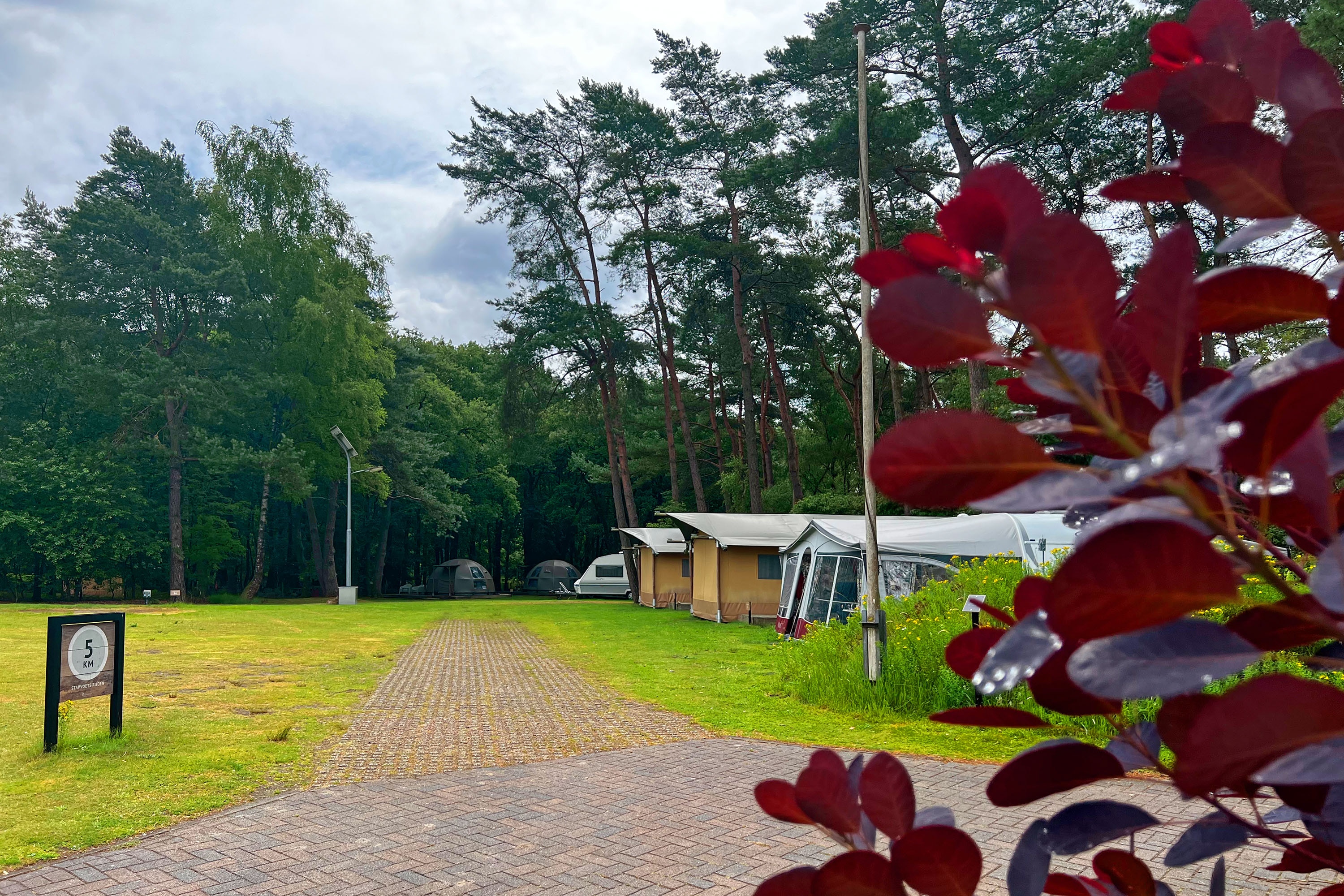 Camping Mennorode