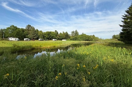 Thorager Camping