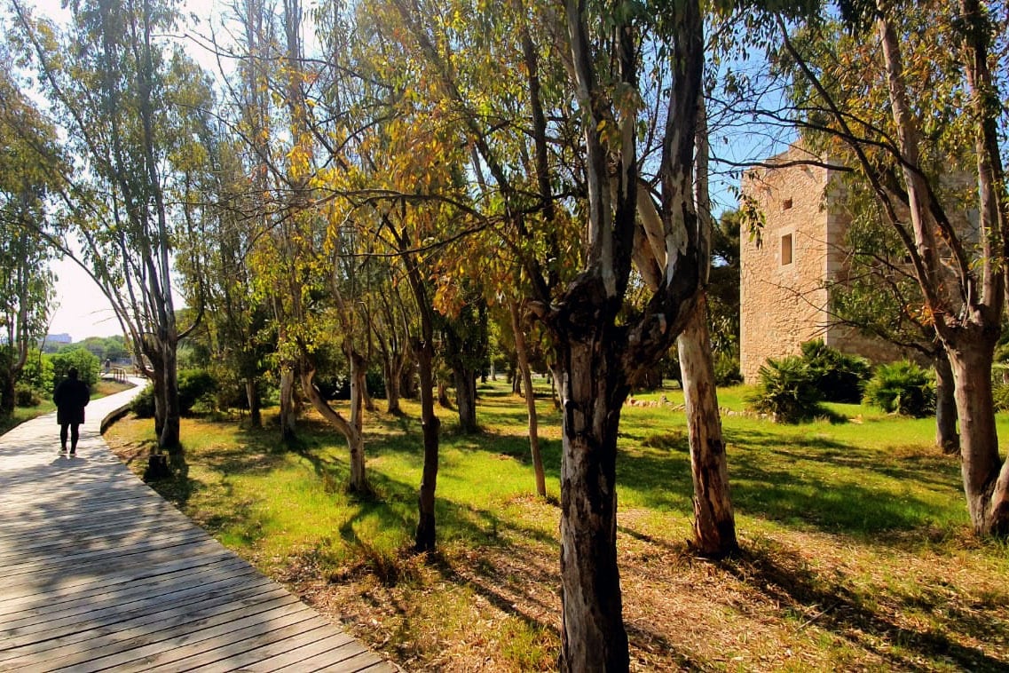 Camping Torre La Sal