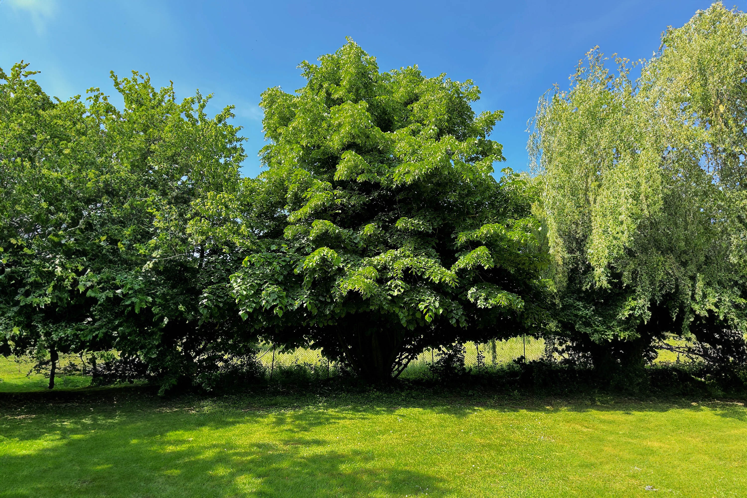 Camping Au Bon Endroit