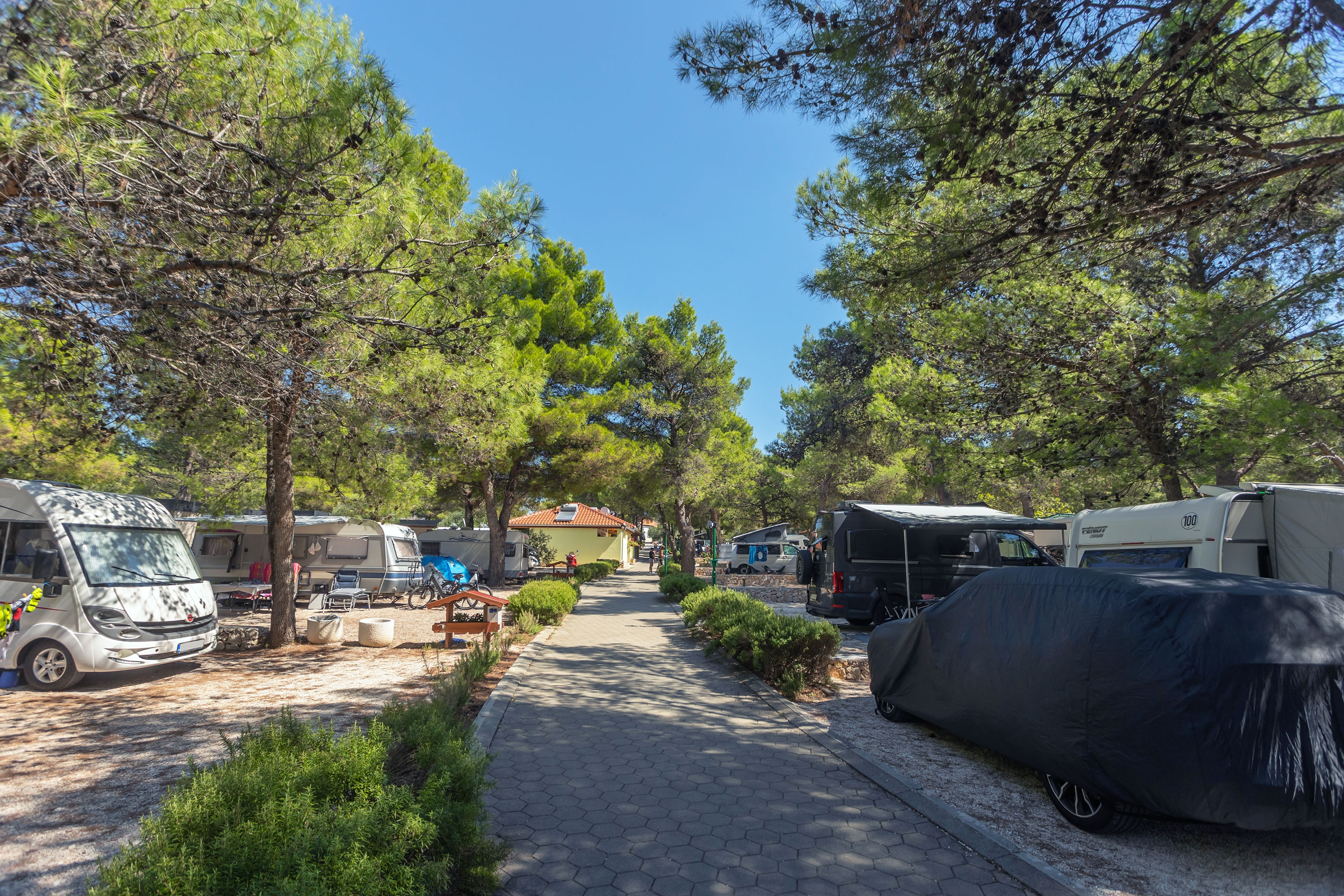 Camping Jasenovo