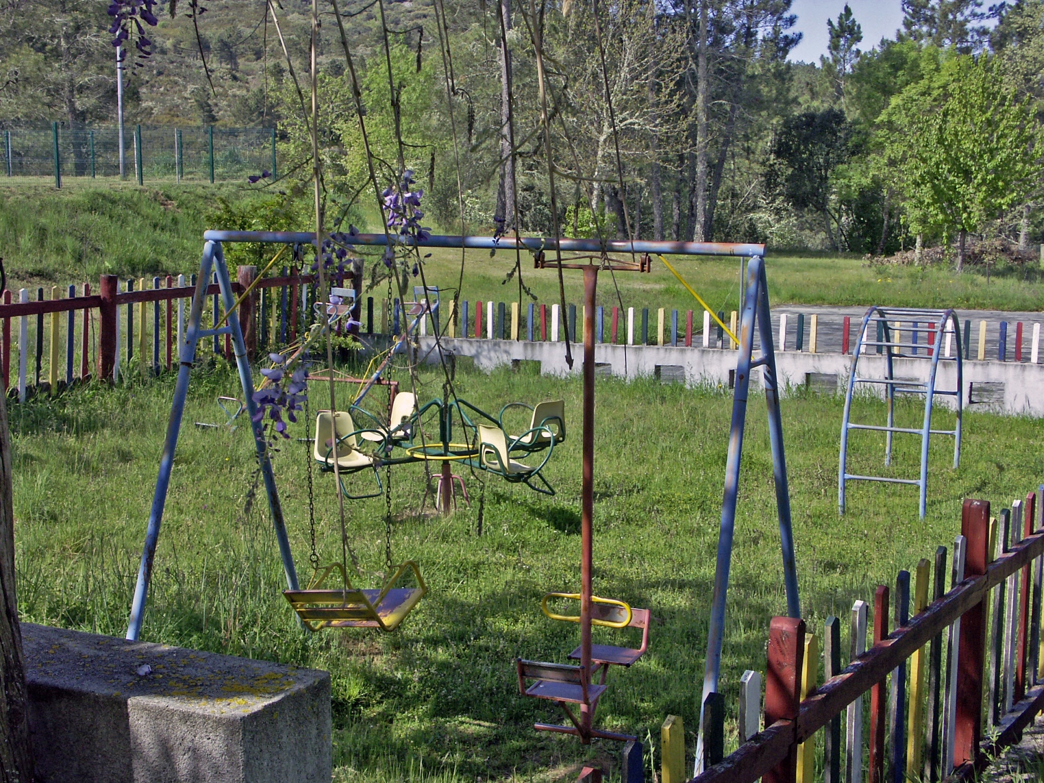 Cepo Verde