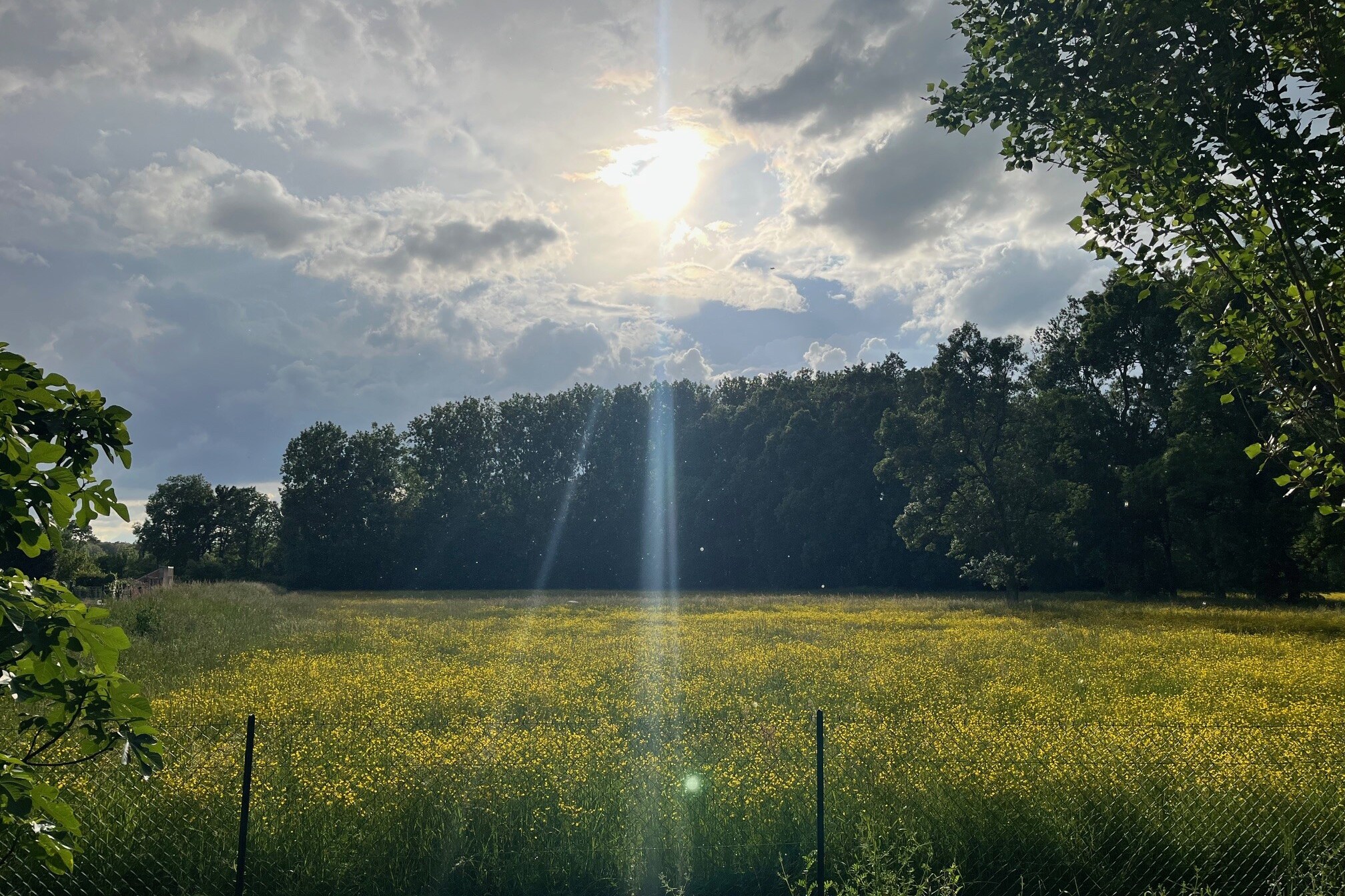Camping Les Saules de Cormery