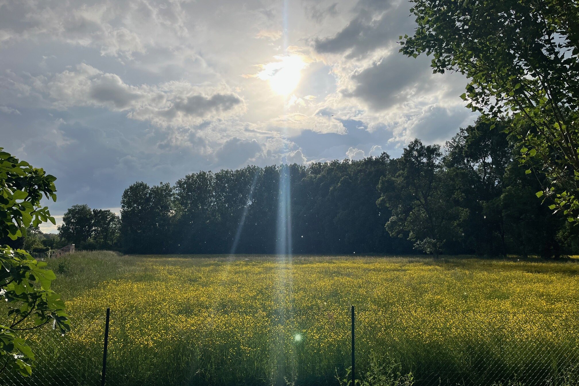 Camping Les Saules de Cormery