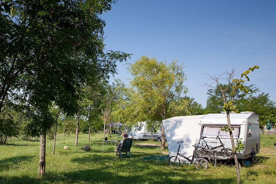 Pausado Ludo Camping
