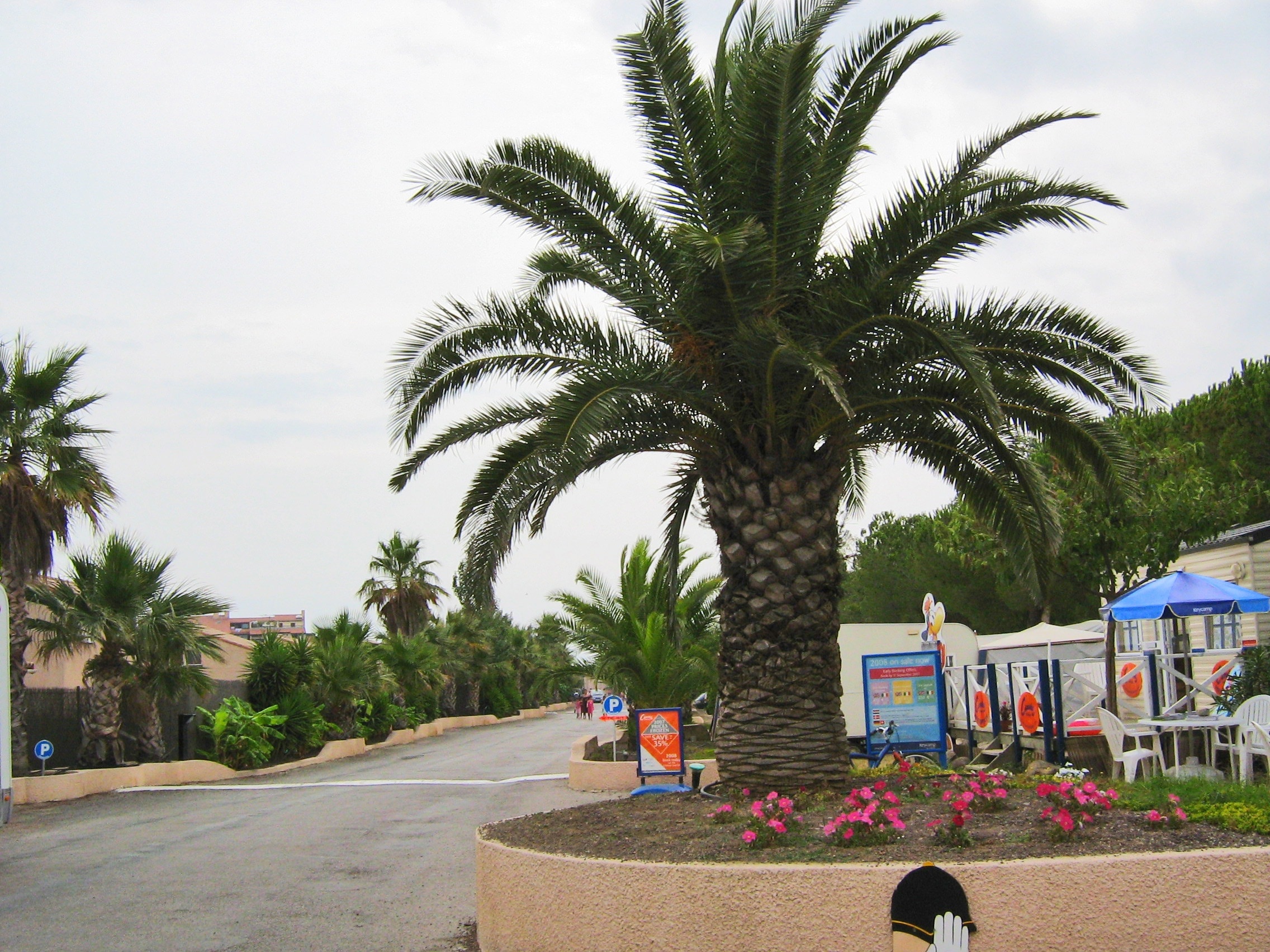 Camping Cala Gogo
