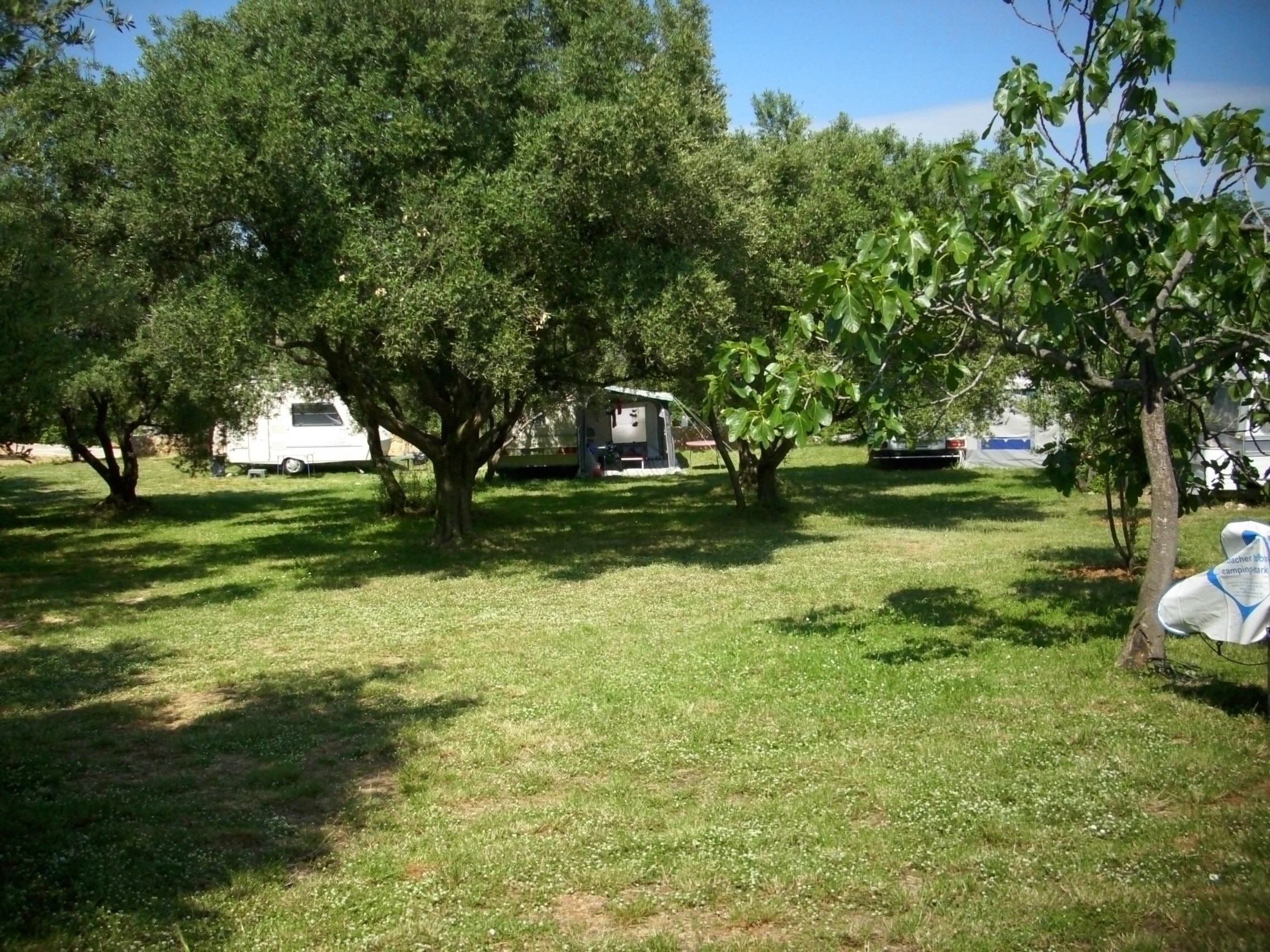 Camping Bor