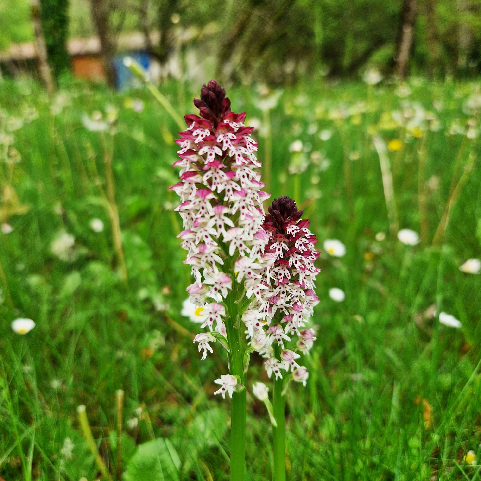 Camping Ruisseau du Treil