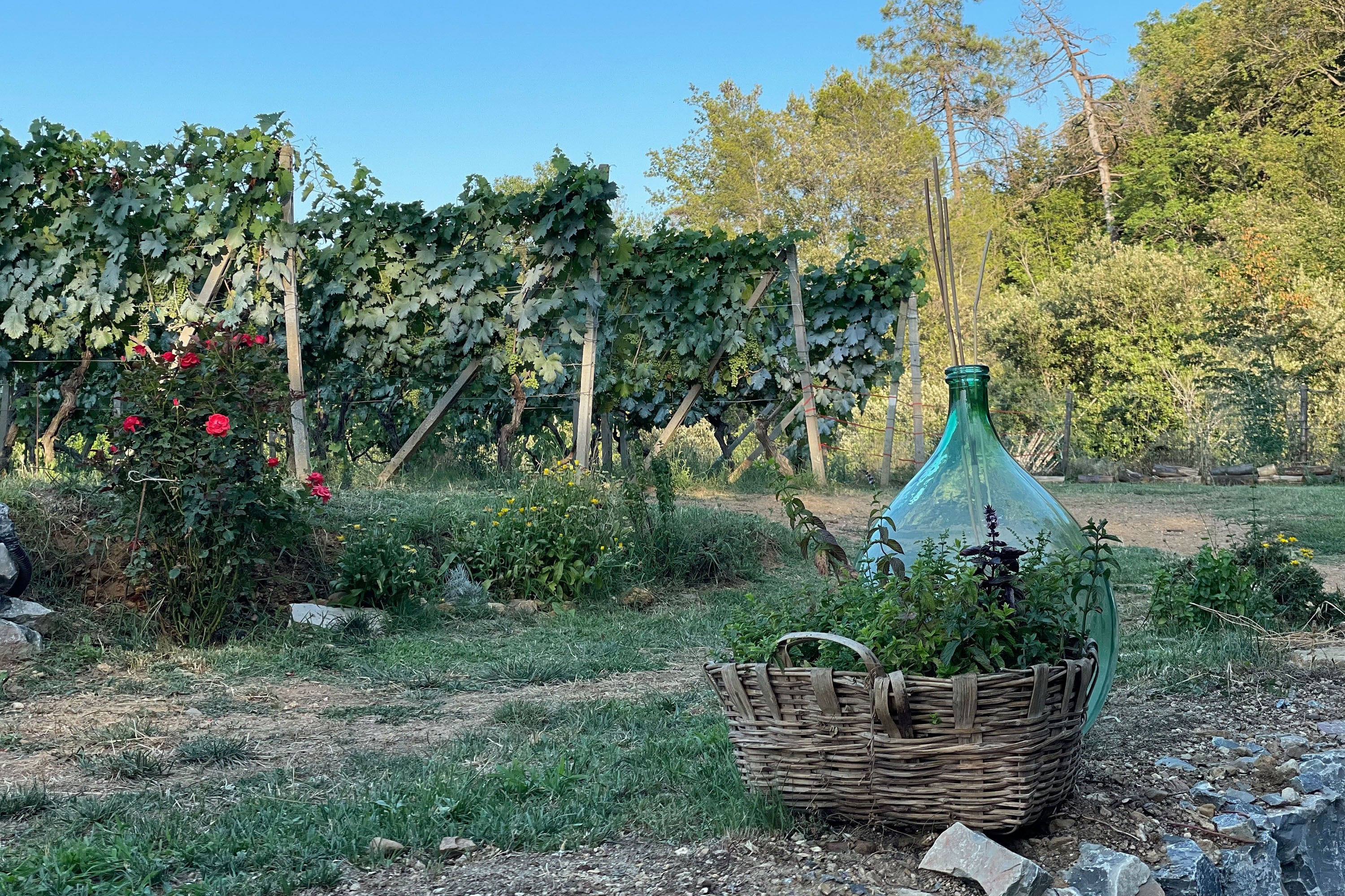Camping Bella Vista
