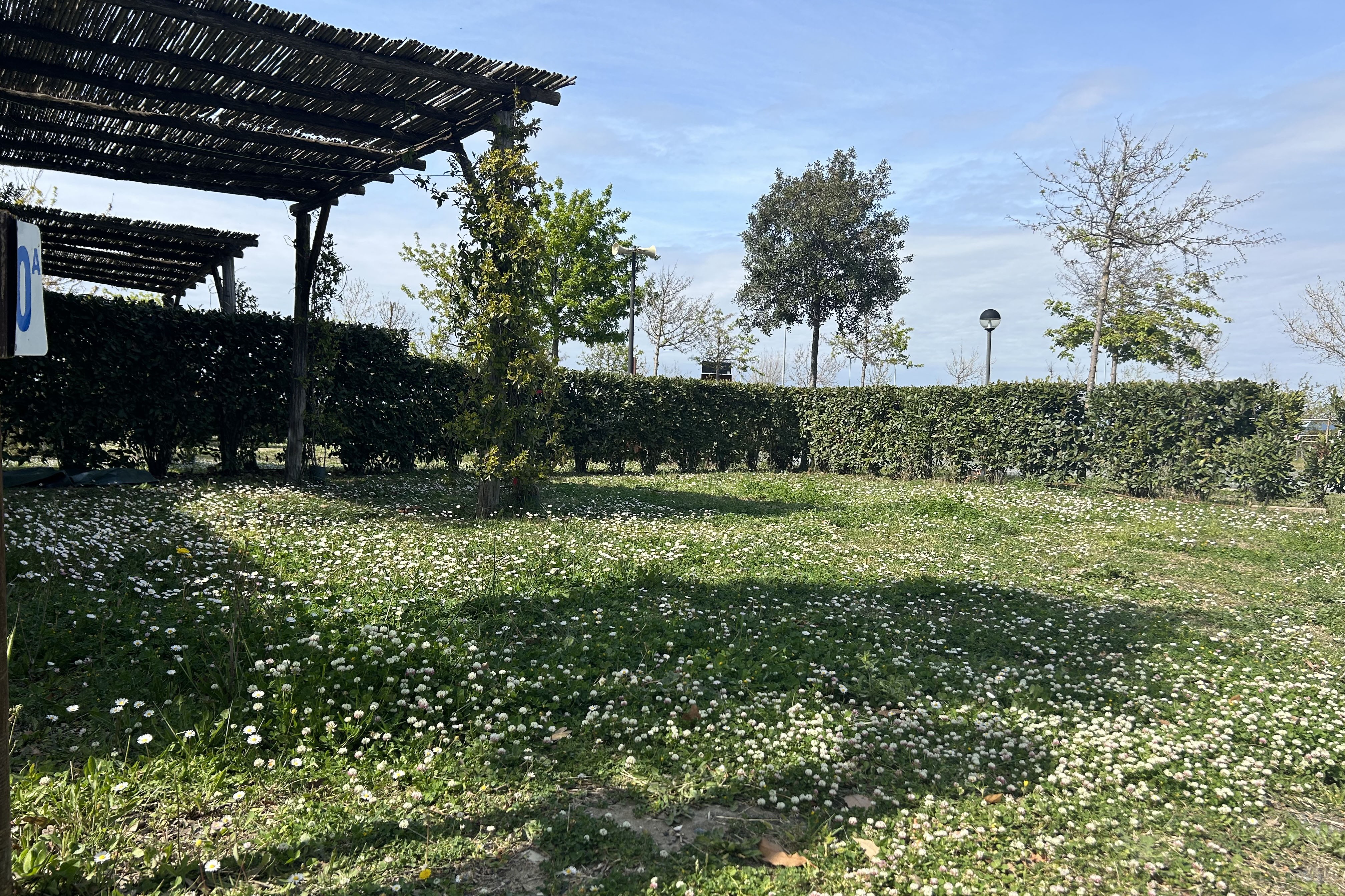 Camping Bocca di Cecina