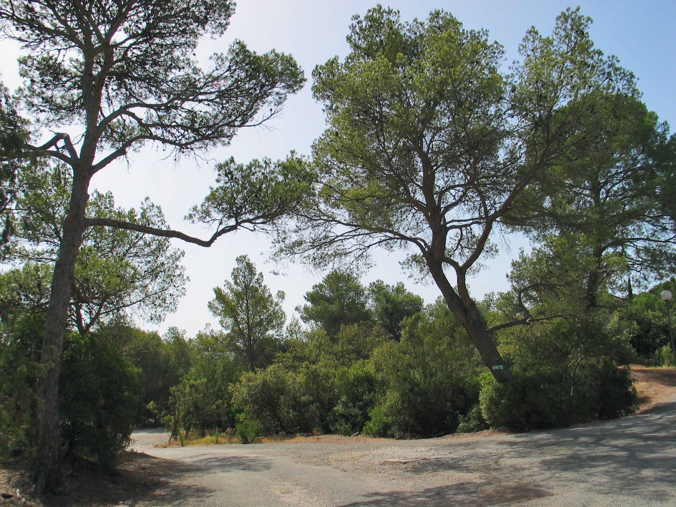 Camping La Pierre Verte
