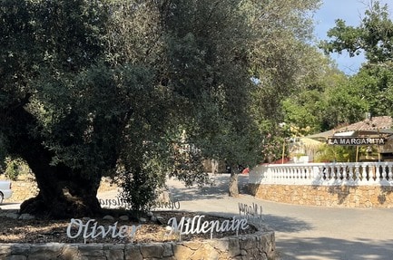 Camping La Pierre Verte