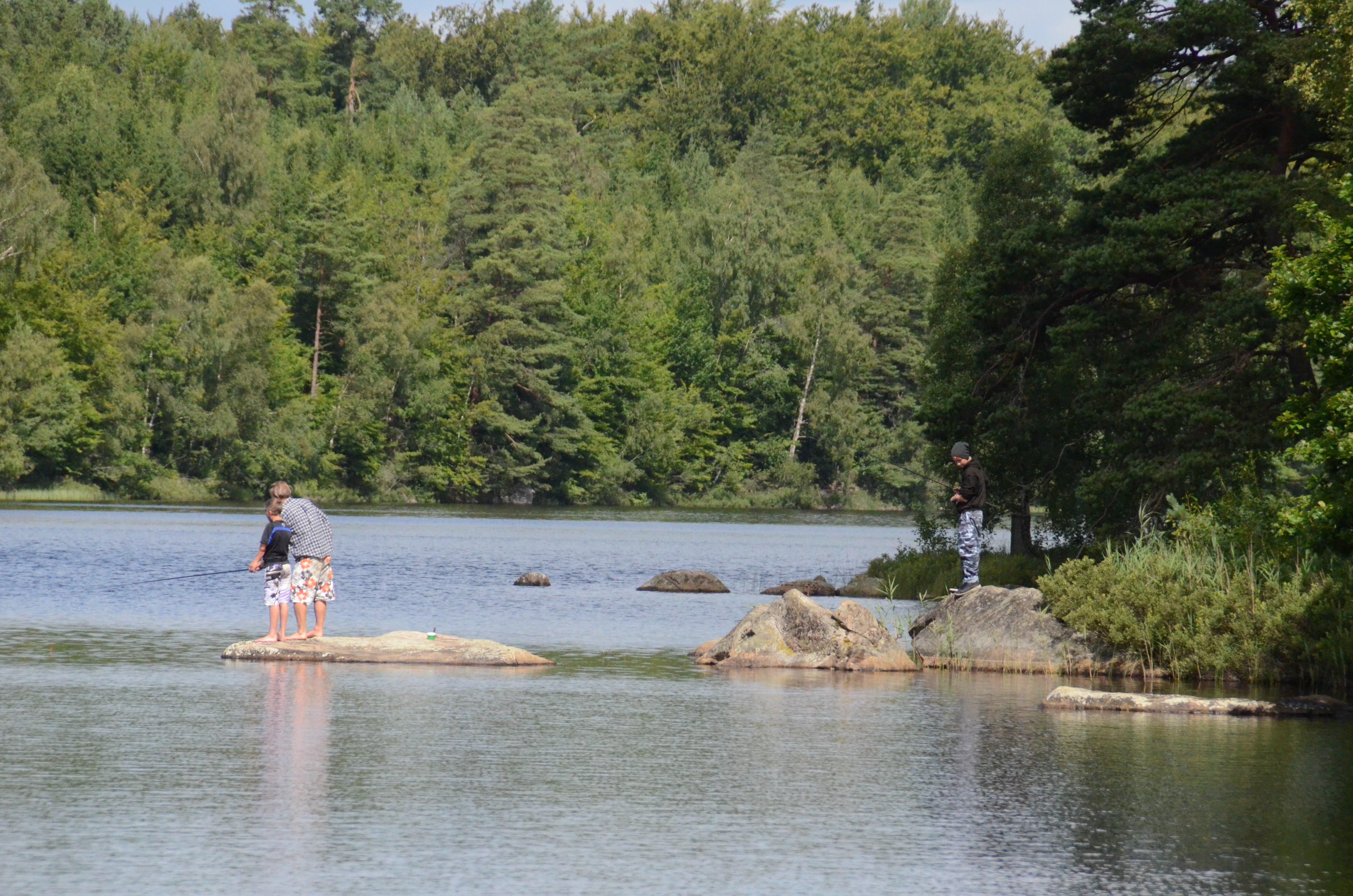 Långasjönäs Camping & Stugby