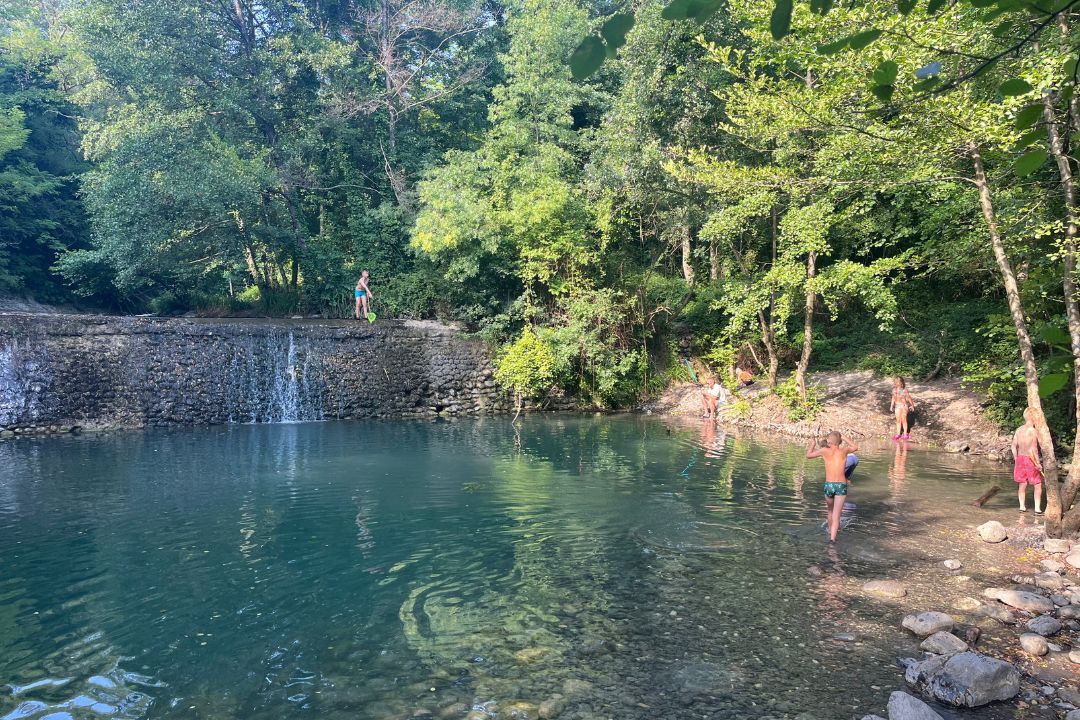 Pausado Ludo Camping