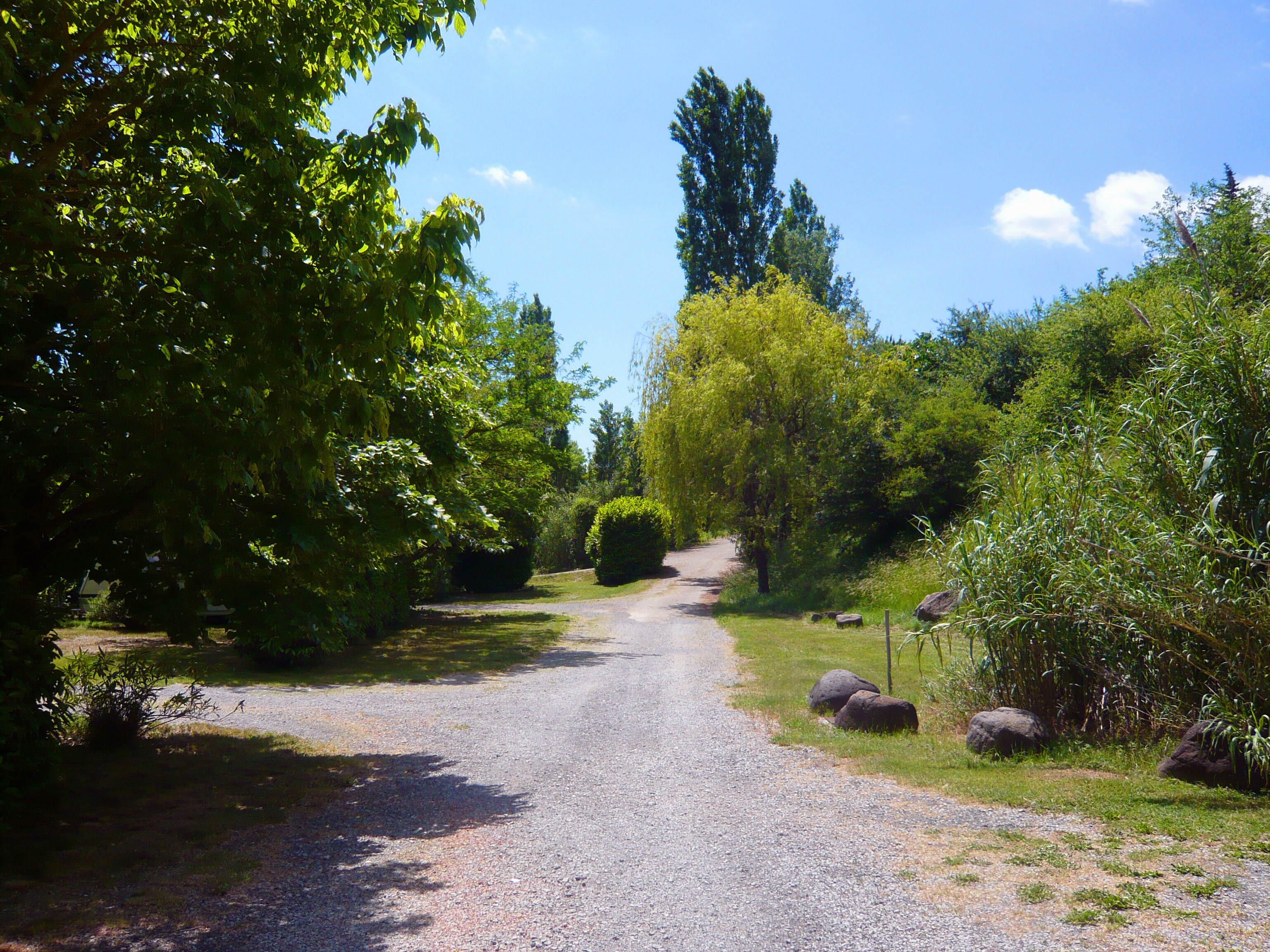 Pausado Ludo Camping