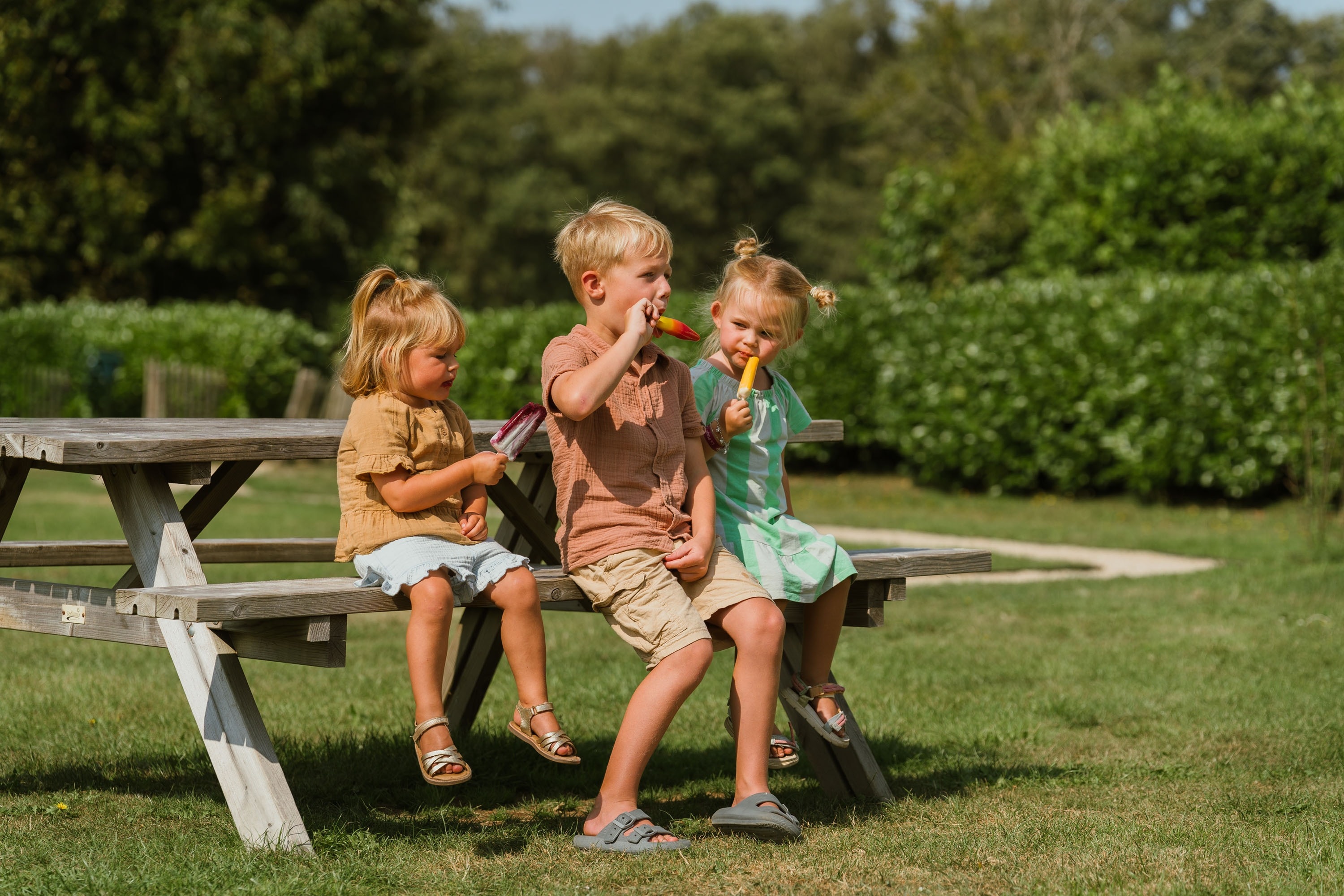 Familiecamping Vogelenzang