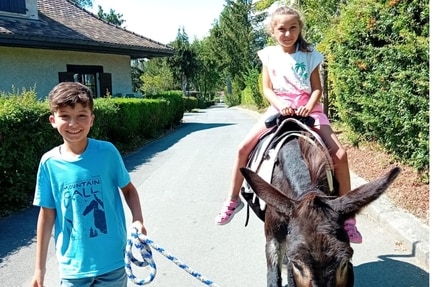 Pausado Camping Relais du Léman