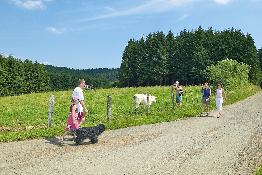 ArdenParks Petite Suisse