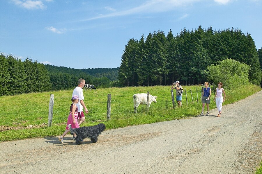 ArdenParks Petite Suisse