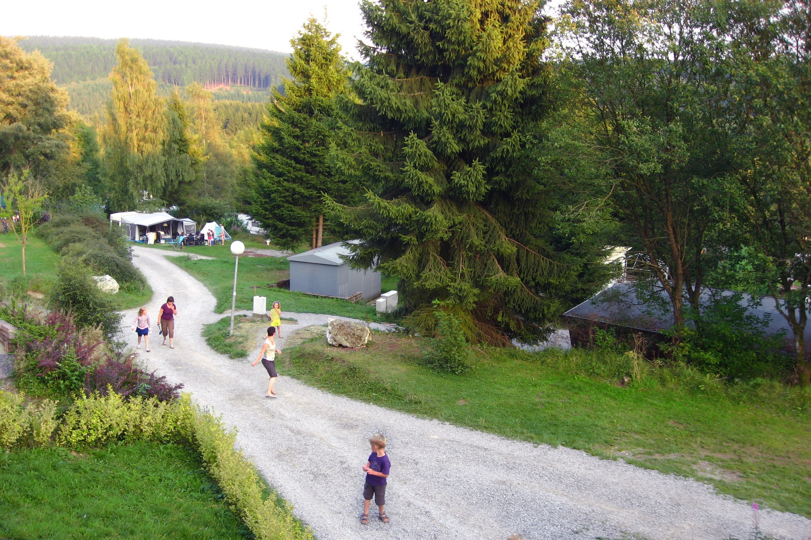 ArdenParks Petite Suisse