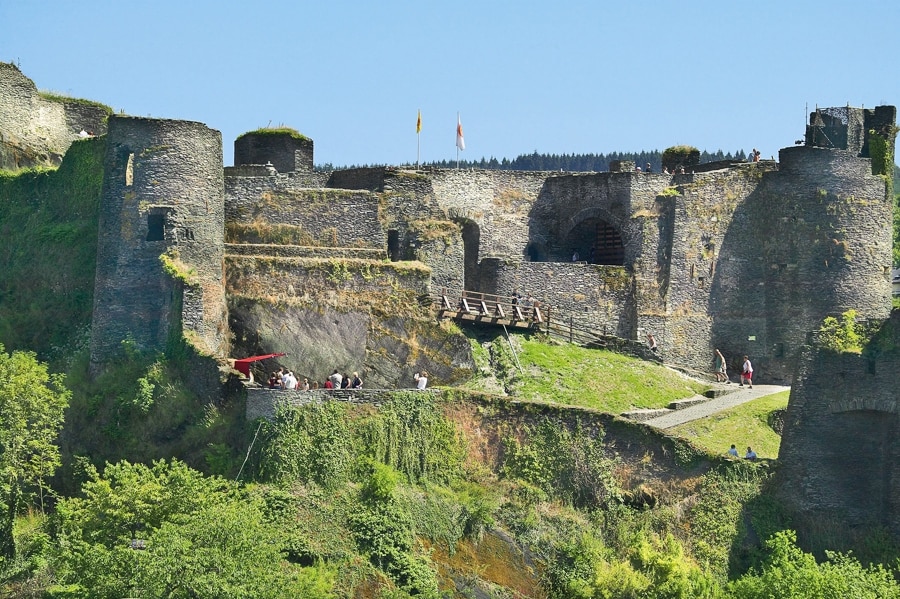 ArdenParks Petite Suisse