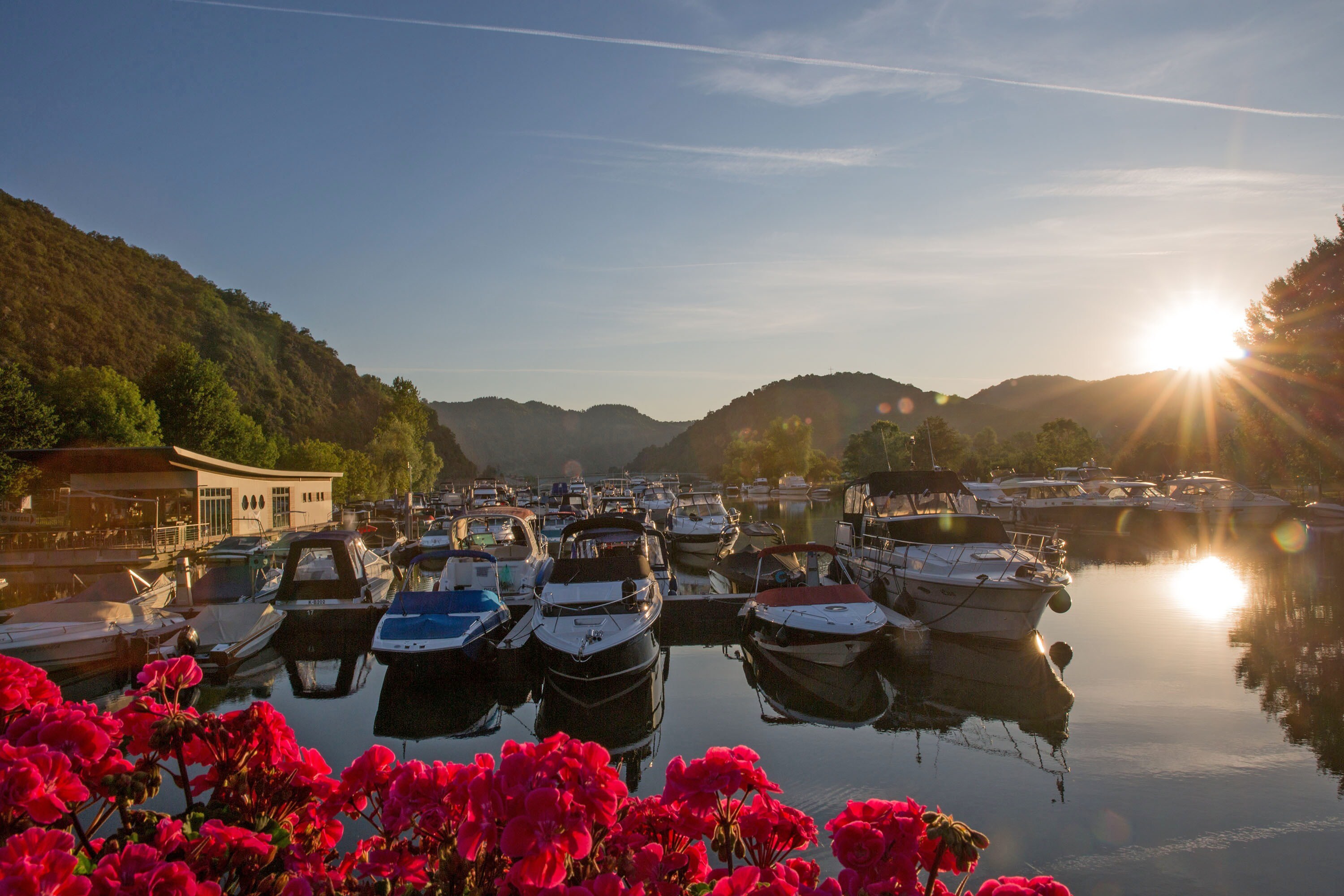 Mosel-Islands Camping