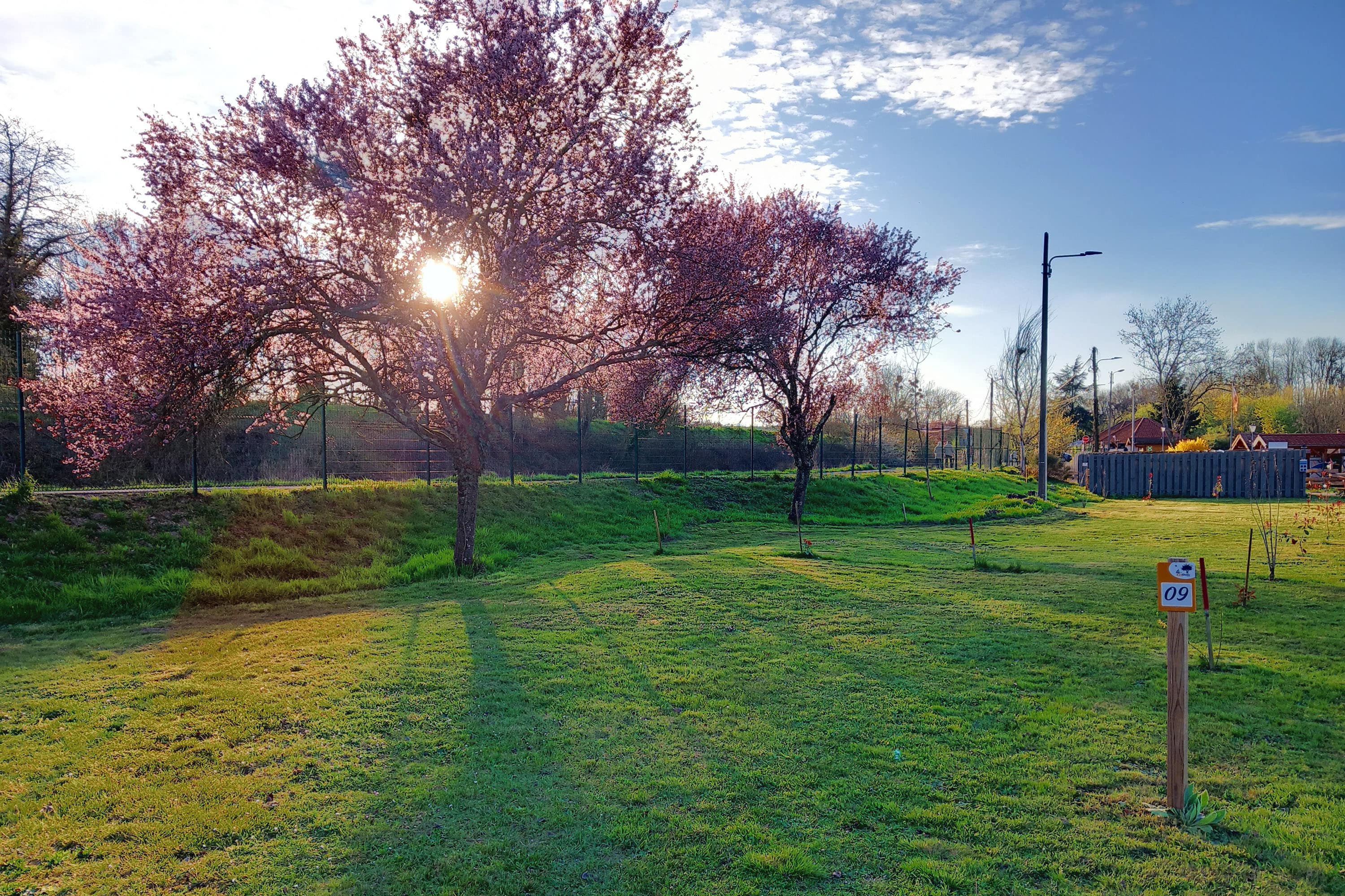 Camping L'île aux mille Charmes afbeelding 2