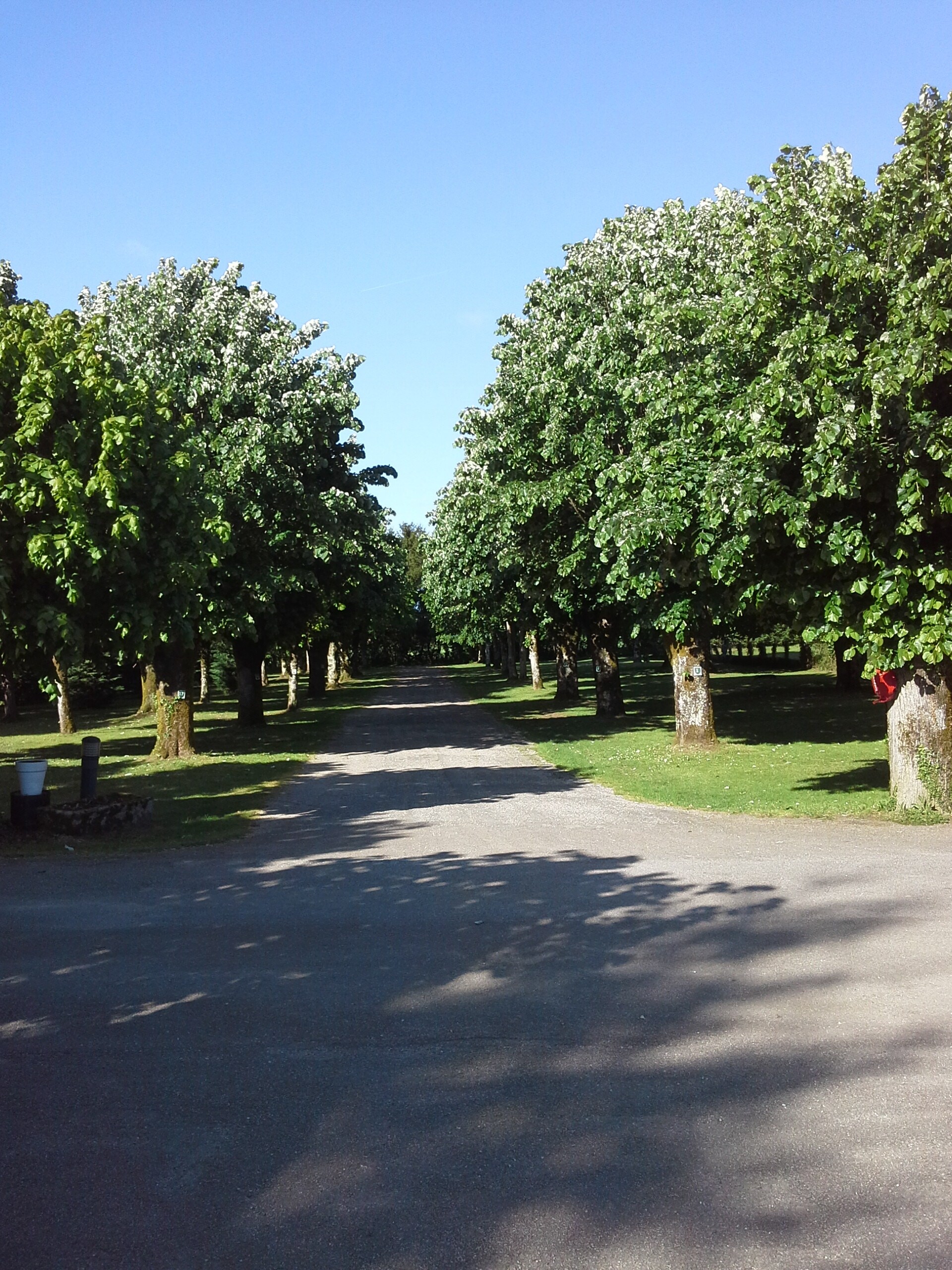 Camping Du Château de Leychoisier